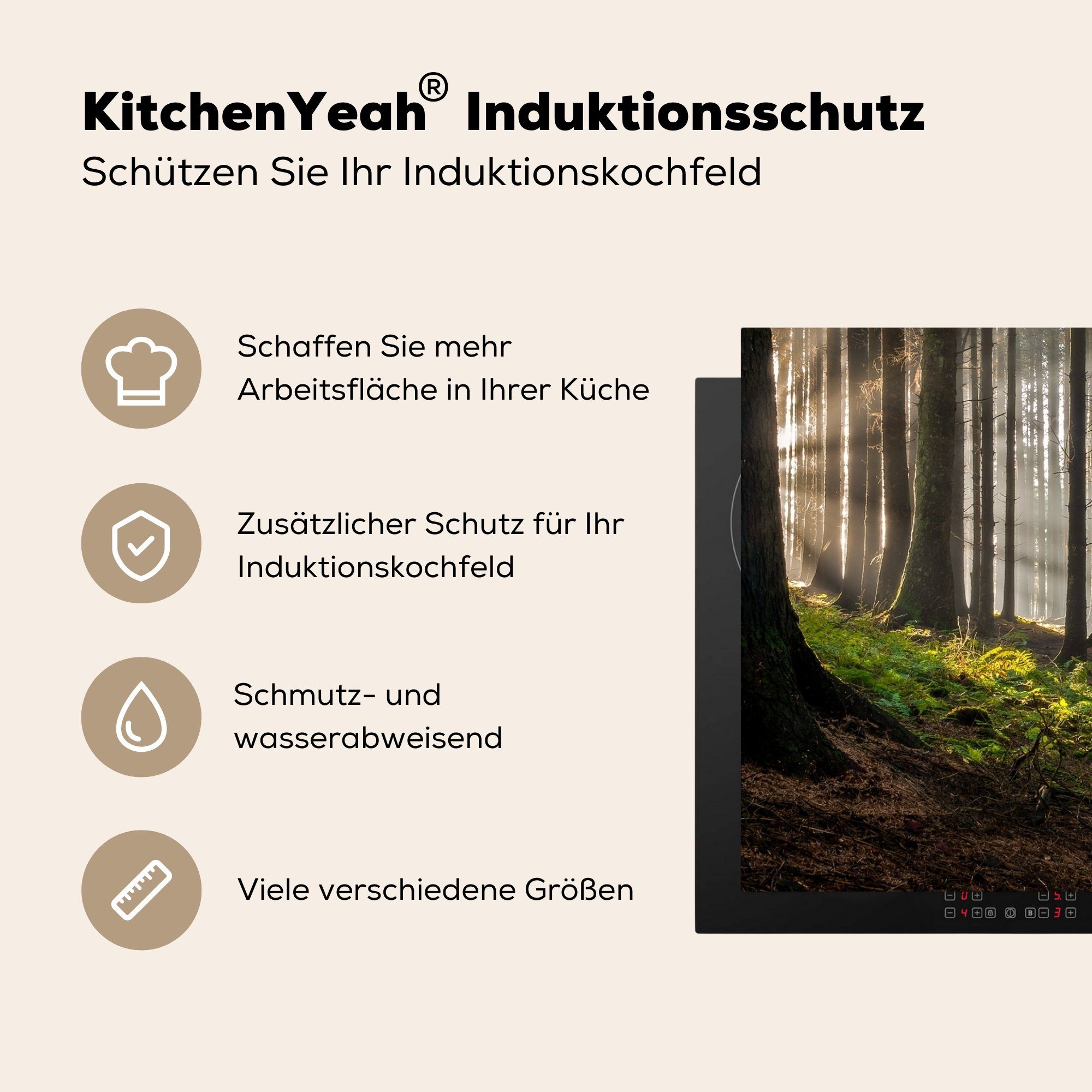 77x51 - Äste MuchoWow küche Bäume Natur, (1 cm, - Sonne Vinyl, - Herdblende-/Abdeckplatte Arbeitsplatte - für Wald Ceranfeldabdeckung, tlg),