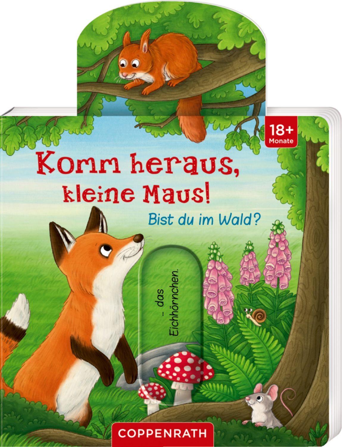 Komm heraus, kleine Maus! Bist du im Wald? / diverse