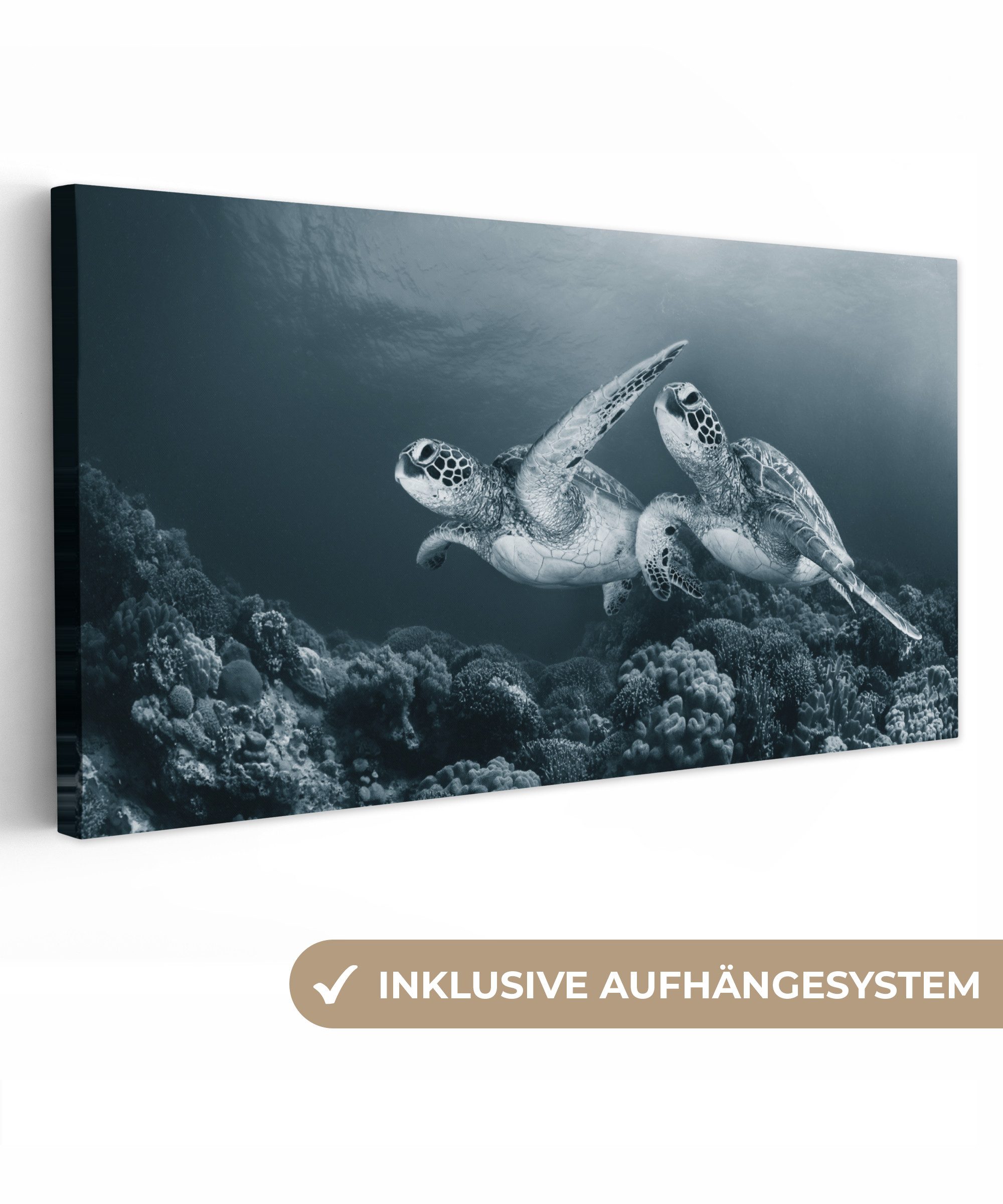 OneMillionCanvasses® Leinwandbild Panorama Schildkröte - Meerestiere günstig online kaufen