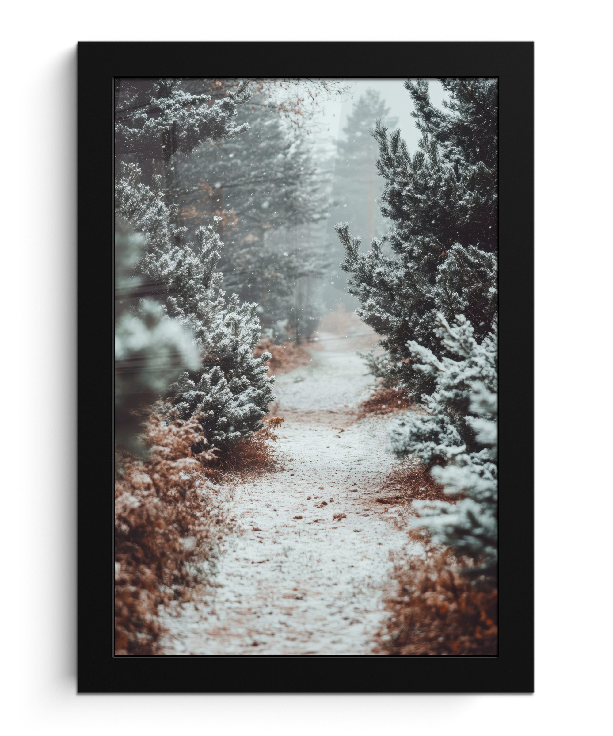 Poster Wald - Winter - Bäume - Natur - Weg - Schnee