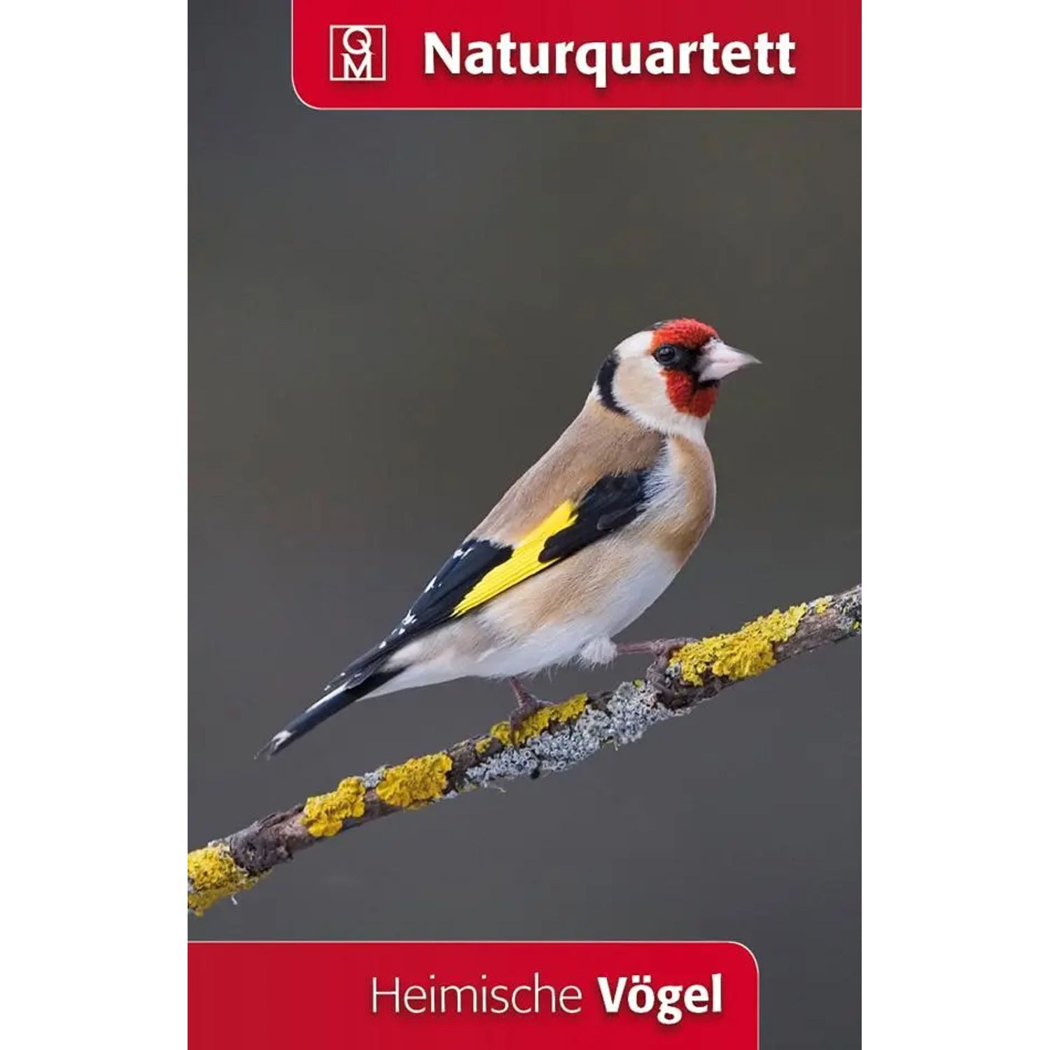 Meyer & Meyer Verlag Spiel Heimische Vögel Naturquartett