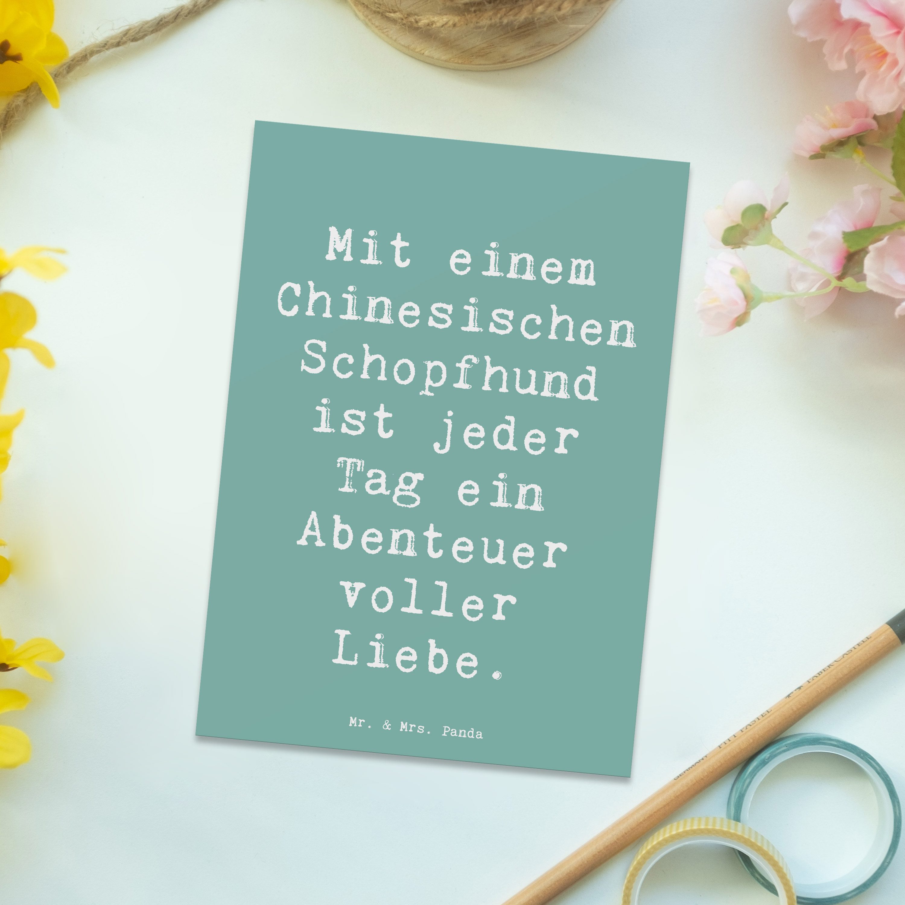 Thumbnail - Mr. & Mrs. Panda Postkarte Spruch Chinesischer Schopfhund Abenteuer - Meeresbrise - Geschenk, Li