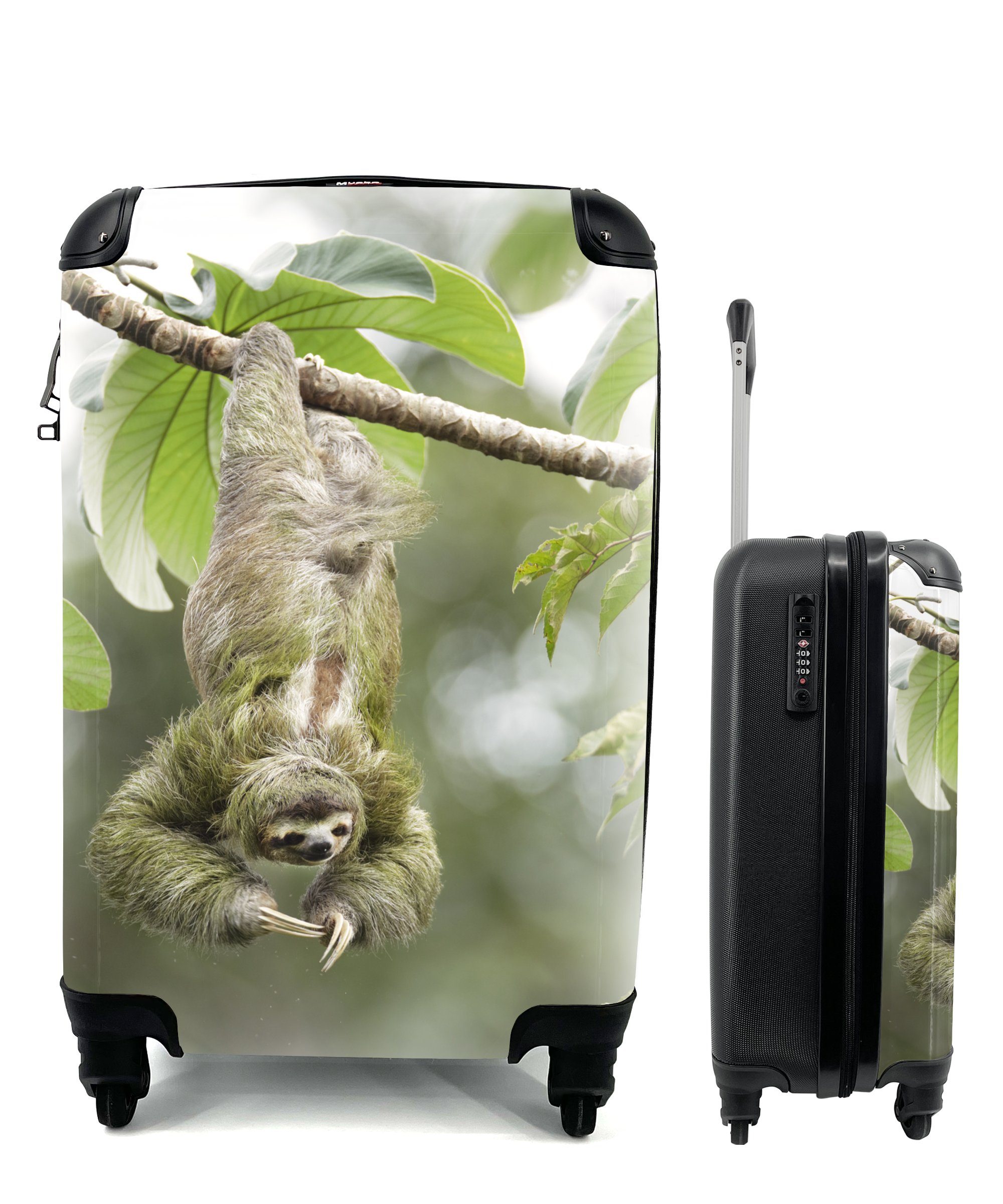 MuchoWow Handgepäckkoffer Ein Faultier hängt kopfüber in den Bäumen, 4 Rollen, Reisetasche mit rollen, Handgepäck für Ferien, Trolley, Reisekoffer