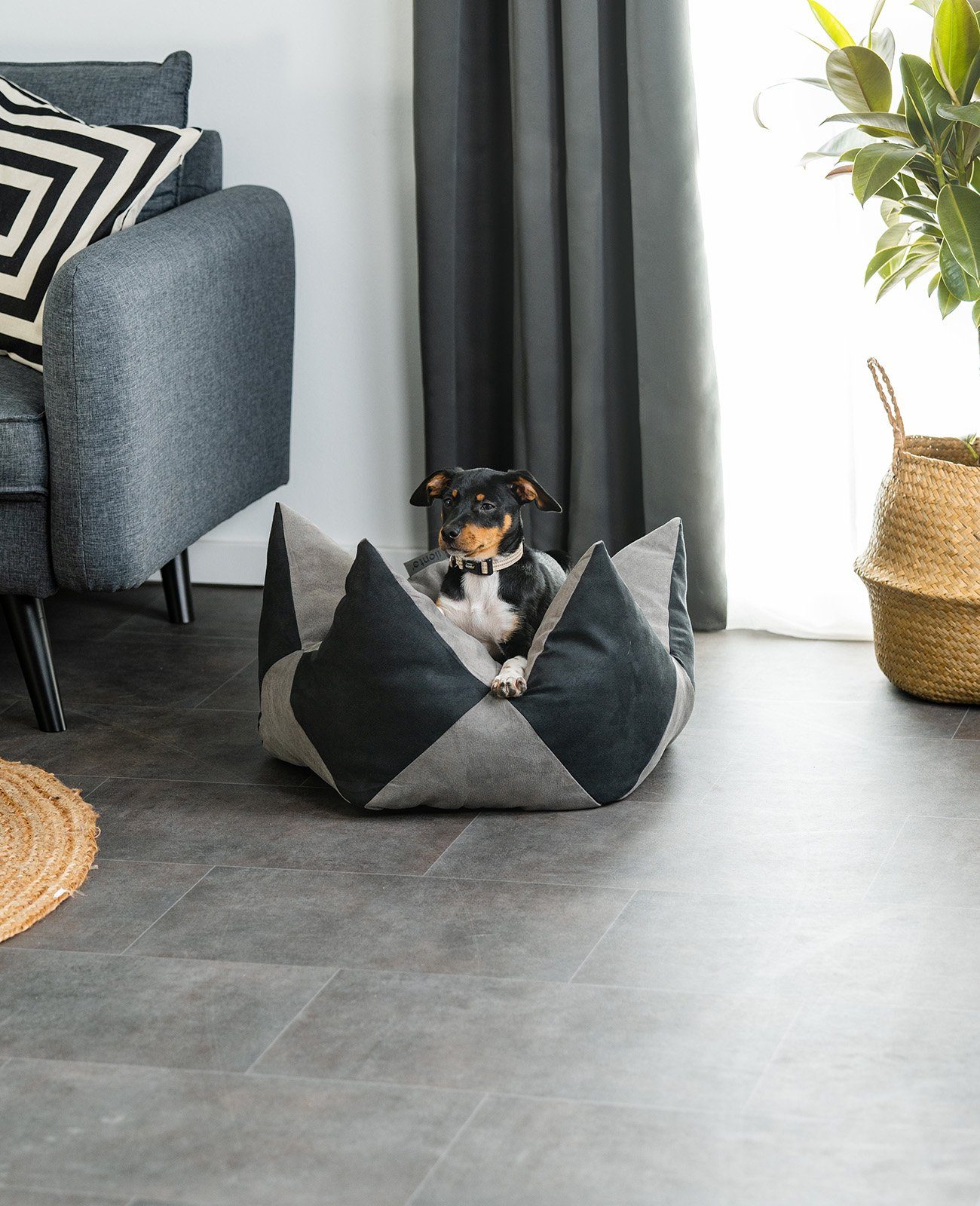 lionto Tierkissen lionto Kronenkissen für Hunde günstig online kaufen