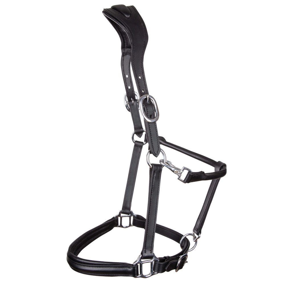 USG Lederhalfter USG Lederhalfter Bonny