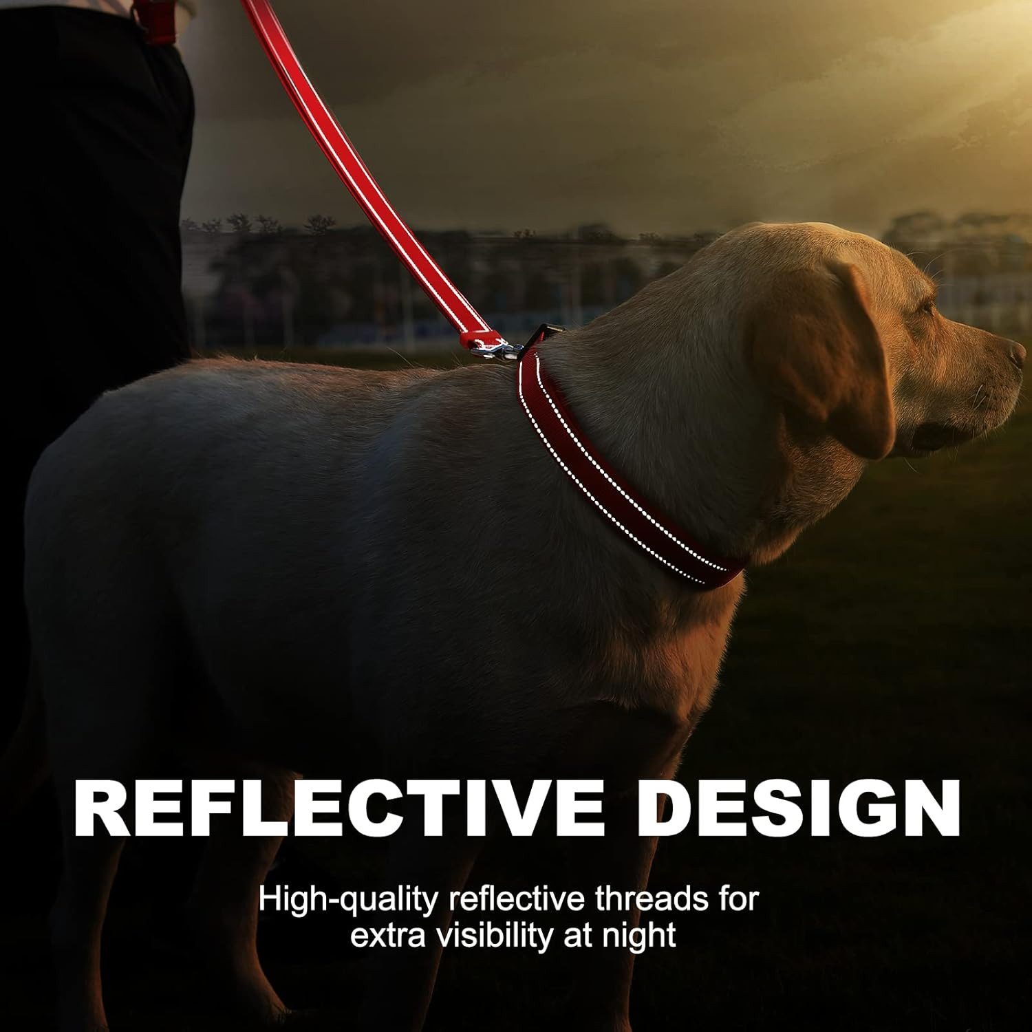 LA CUTE Hundeleine Hundehalsband & Leine Set reflektierend, gepolstert, verstellbar, (Hundehalsband & Leine Set für kleine, mittelgroße & große Hunde, Hundehals – Bild 4 von 5
