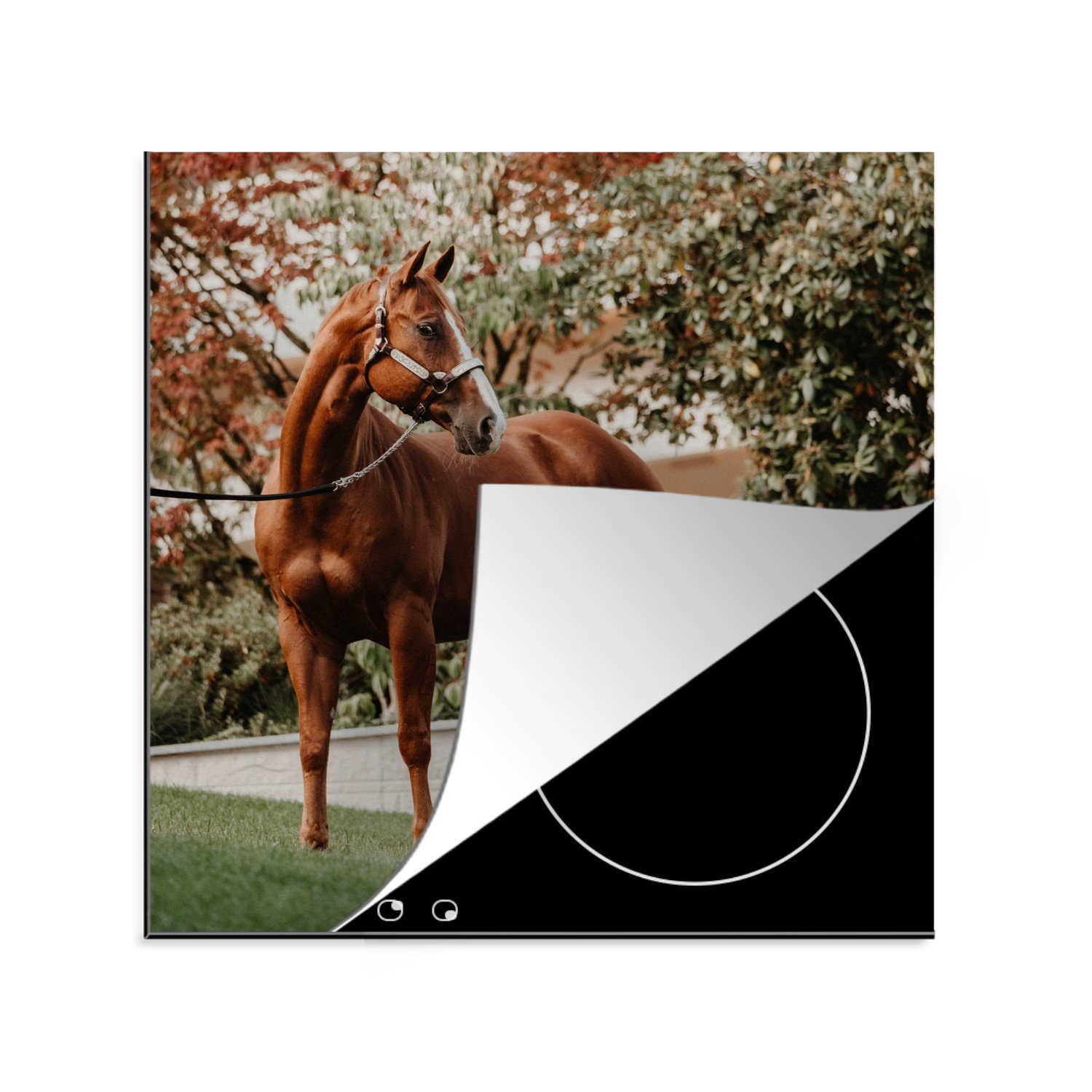 küche - (1 Vinyl, 78x78 - für Arbeitsplatte Baum Pferd tlg), cm, Halfter, MuchoWow Ceranfeldabdeckung, Herdblende-/Abdeckplatte