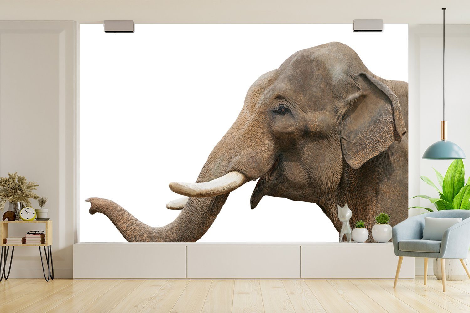 MuchoWow Fototapete Elefant Zähne Wohnzimmer, bedruckt, - für Weiß, Kinderzimmer, Wallpaper Schlafzimmer, Matt, - St), Vinyl Tapete (6