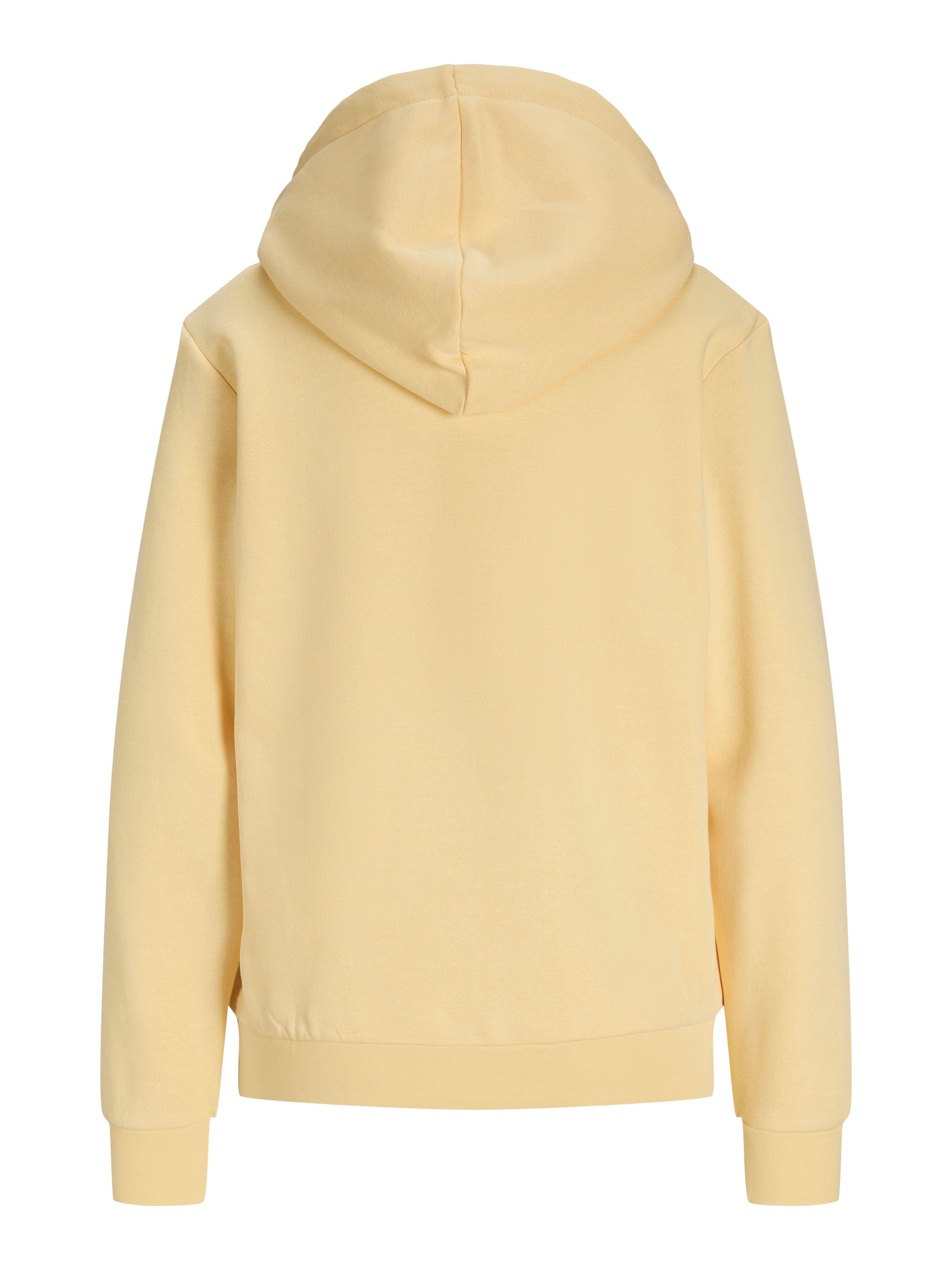 ONLY Sweatshirt günstig online kaufen
