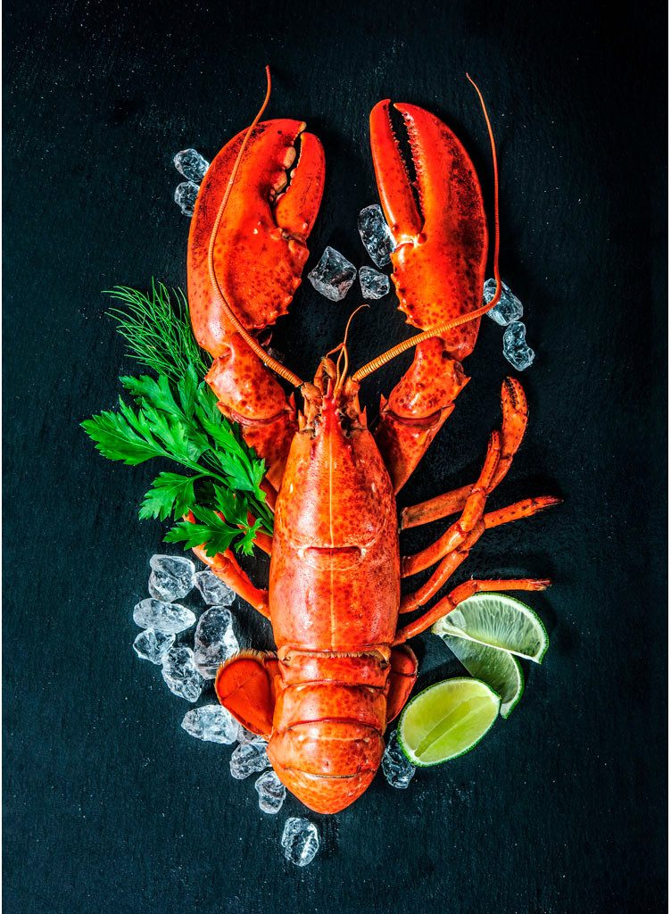 Egeria Geschirrtuch Küchentuch Digitalprint, (Packung, 2-tlg., 2 x 50 x70 c günstig online kaufen