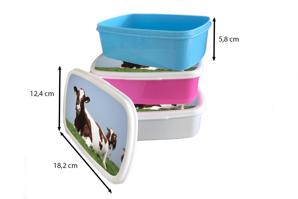 MuchoWow Lunchbox rosa (2-tlg), Kunststoff, Snackbox, Brotbox für Mädchen, - Brotdose Kinder, Gras Kühe Erwachsene, Kunststoff - Friesland