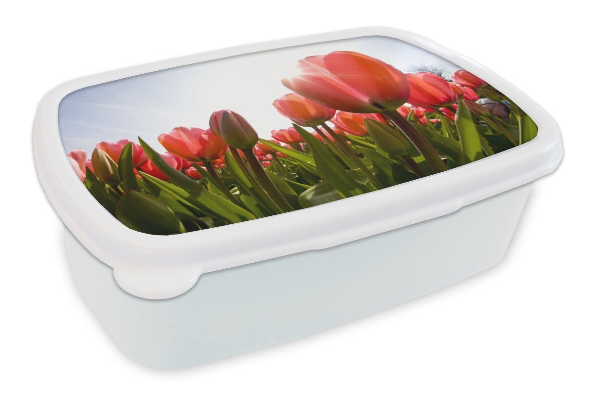 Brotbox Lunchbox Kinder roter Feld Jungs MuchoWow weiß voller (2-tlg), Mädchen für Ein und und Brotdose, Kunststoff, Tulpen, Erwachsene, für