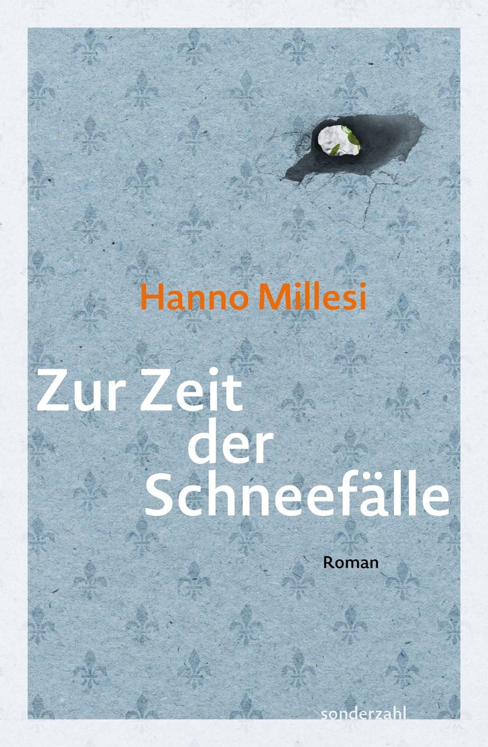 Zur Zeit der Schneefälle / Hanno Millesi