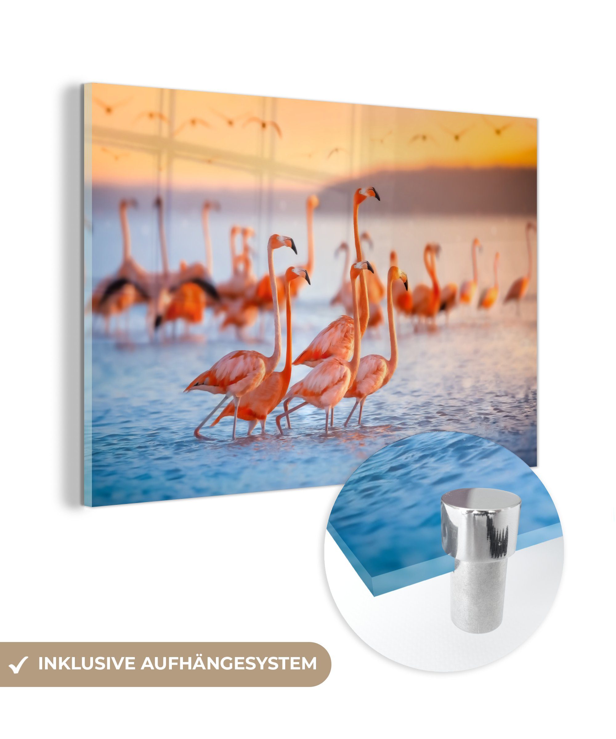 MuchoWow Acrylglasbild Flamingo - Meer - Sonne - Sommer, (1 St), Acrylglasbilder Wohnzimmer & Schlafzimmer