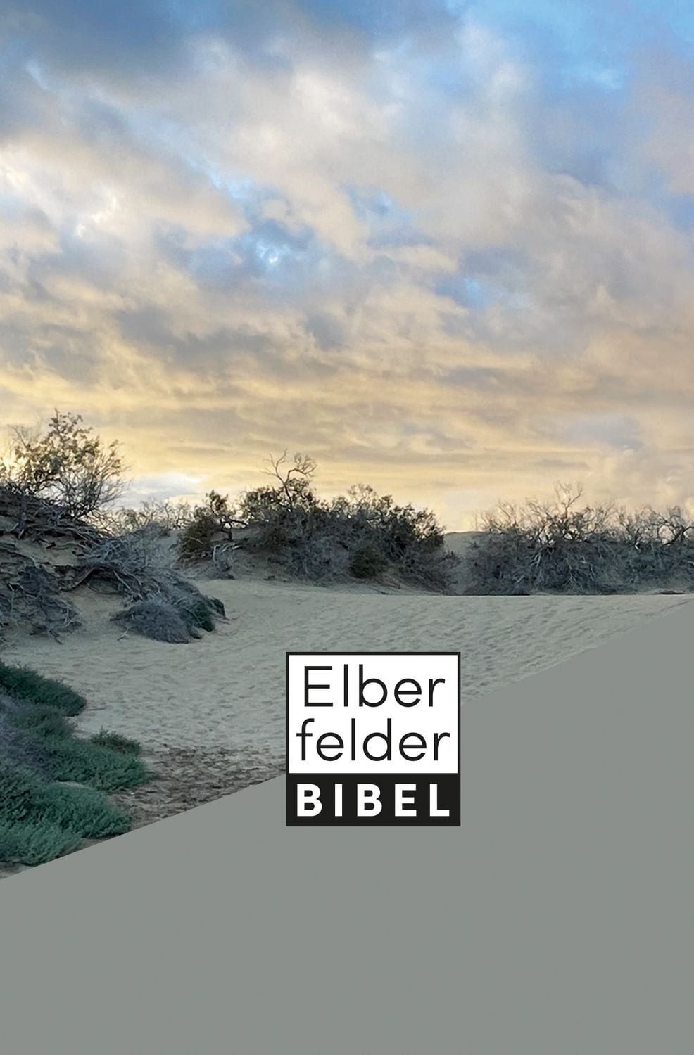 Elberfelder Bibel - Taschenausgabe, Motiv Dünen / diverse