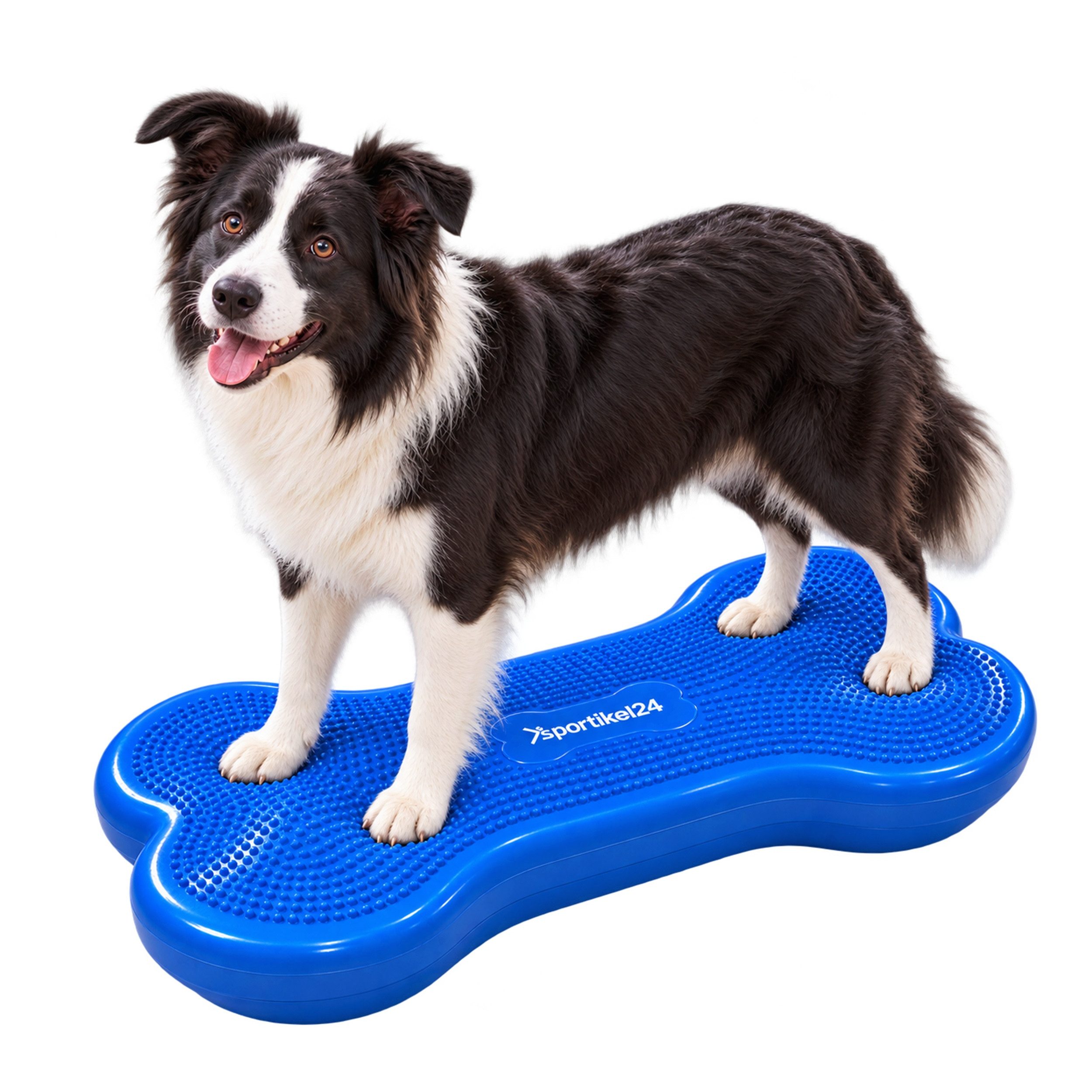 Superhund Balancetrainer 2er Balance-Knochen für Hunde – Large – ohne Pumpe