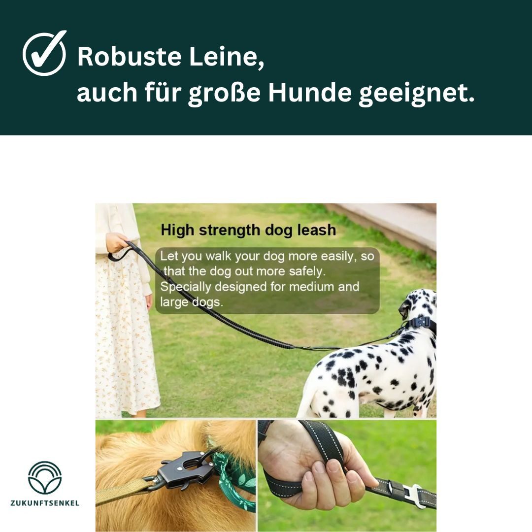 ZUKUNFTSENKEL Hundeleine mit Autoanschnaller & Sicherheitskarabiner, Leine, (1-tlg., Führleine), Taktische Bungee-Leine, 2 Griffe, Pferdeleine