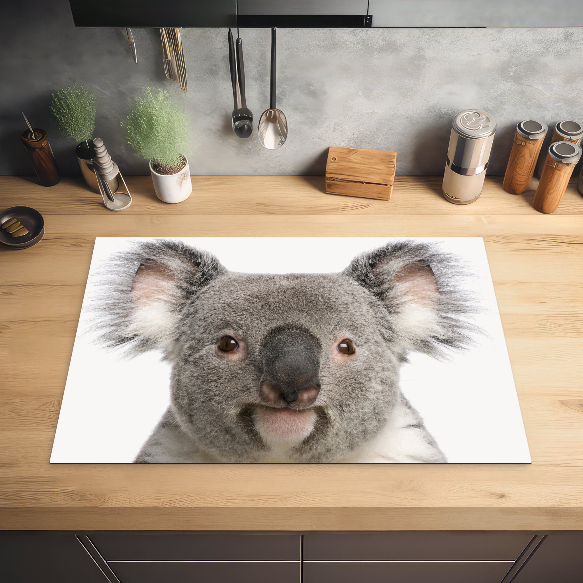 MuchoWow Herdblende-/Abdeckplatte Koala - tlg), Mädchen Ceranfeldabdeckung, Vinyl, Koala - - - Jungen Bär cm, küche Arbeitsplatte Tiere, für 77x51 (1