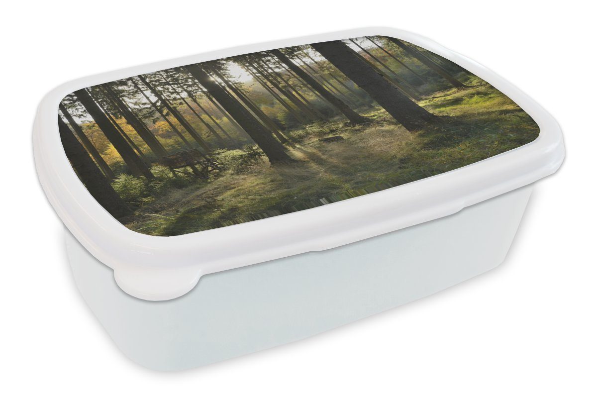 MuchoWow Lunchbox Wald - Sommer - Sonne, Kunststoff, (2-tlg), Brotbox für Kinder und Erwachsene, Brotdose, für Jungs und Mädchen weiß