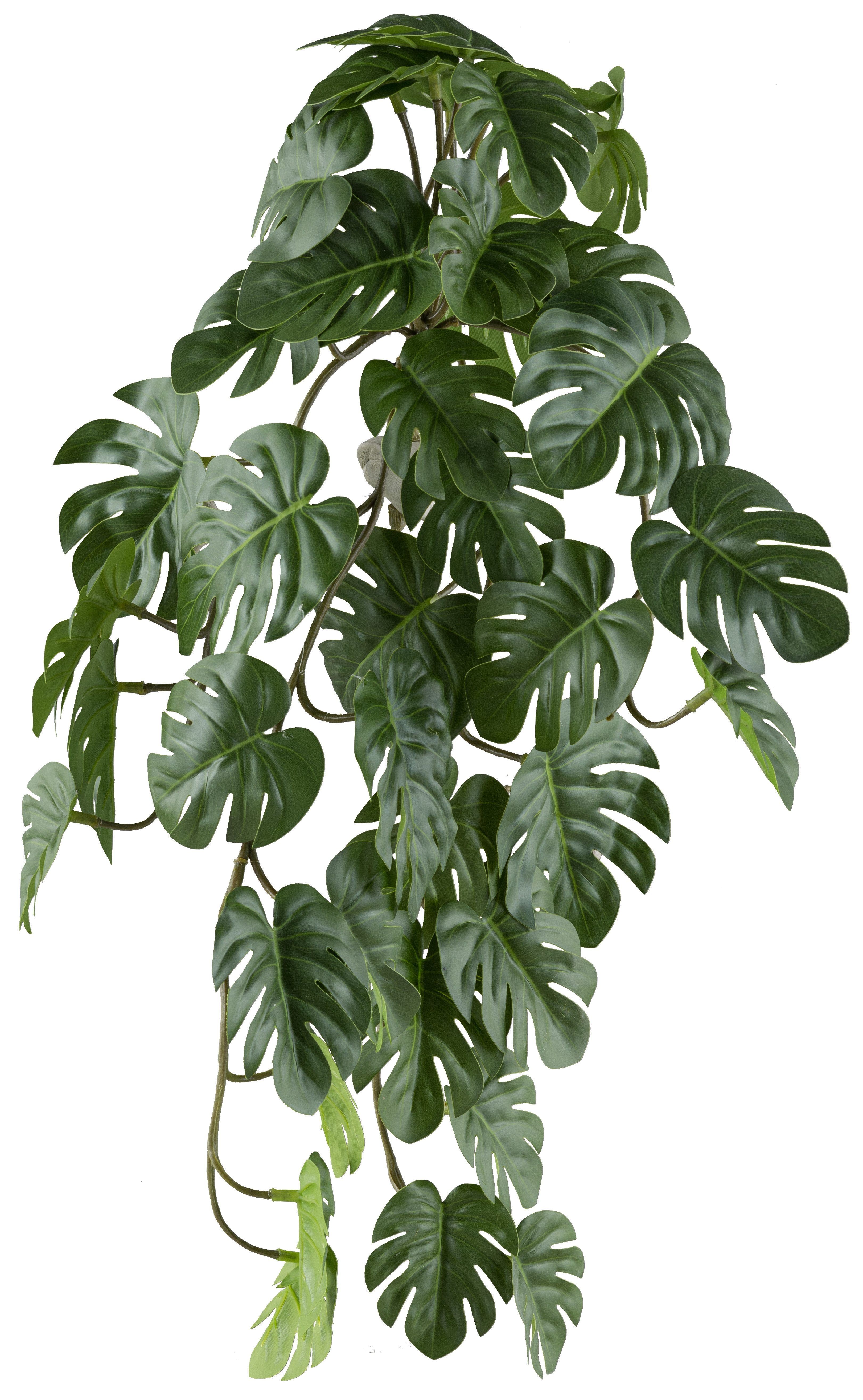 Kunstranke Hängepflanze Splitphilodendron, Creativ green, Höhe 48 cm, mit n günstig online kaufen