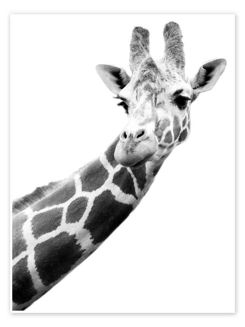 Posterlounge Poster Darren Greenwood, Giraffe in Schwarz-Weiß, Wohnzimmer Fotografie