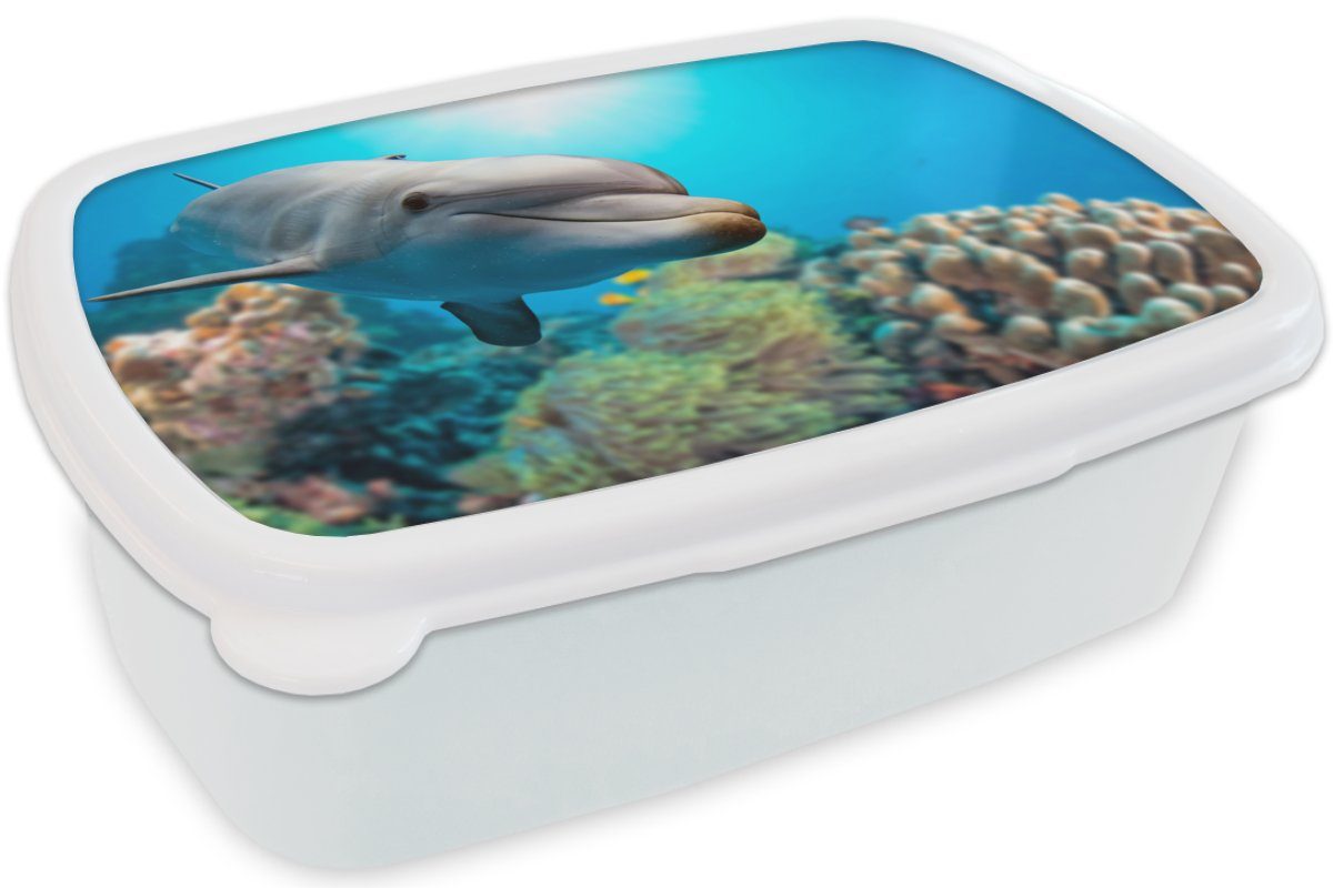 MuchoWow Lunchbox Delfin - Meer für und und Koralle, Kunststoff, Erwachsene, Brotbox - (2-tlg), Mädchen weiß Kinder für Jungs Brotdose