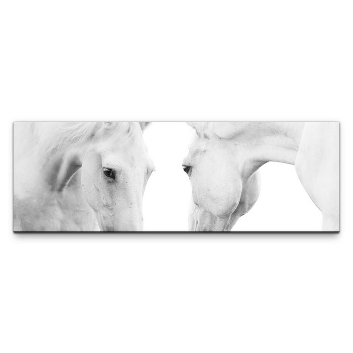 möbel-direkt.de Leinwandbild Bilder XXL Zwei weiße Pferde Wandbild auf Leinwand