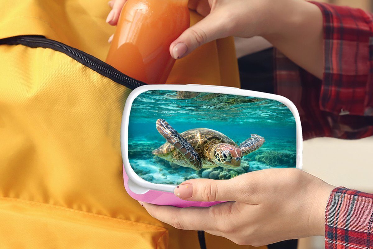 rosa Kunststoff unter Brotdose Bodennähe, Snackbox, schwimmt Kunststoff, in Brotbox Wasser (2-tlg), Lunchbox Mädchen, MuchoWow Kinder, Erwachsene, für Schildkröte Eine