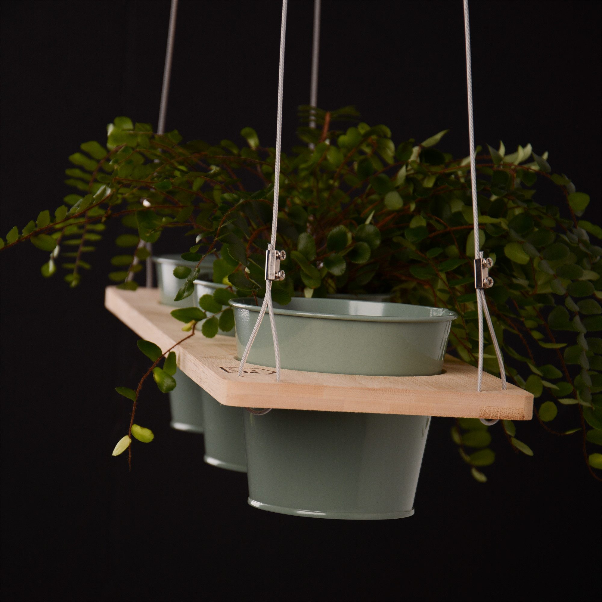 UNUS HOME Blumenkasten Kräuterbar, Pflanzenregal (60cm, grün), Stabile Drahtseilaufhängung, hängende Kräutertöpfe – Bild 2 von 5