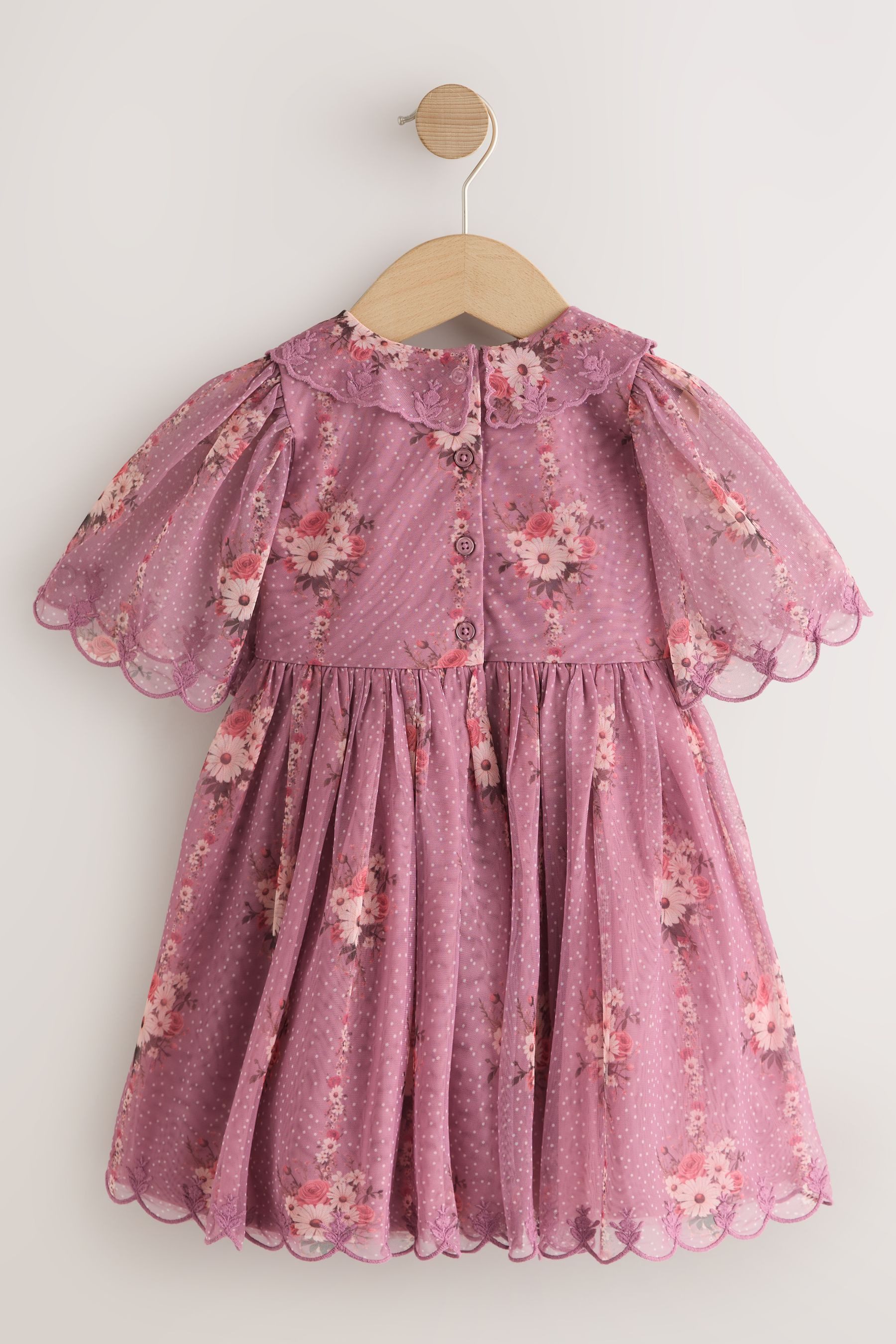 Next Partykleid Kurzärmeliges Festkleid mit Spitzenkragen (1-tlg)