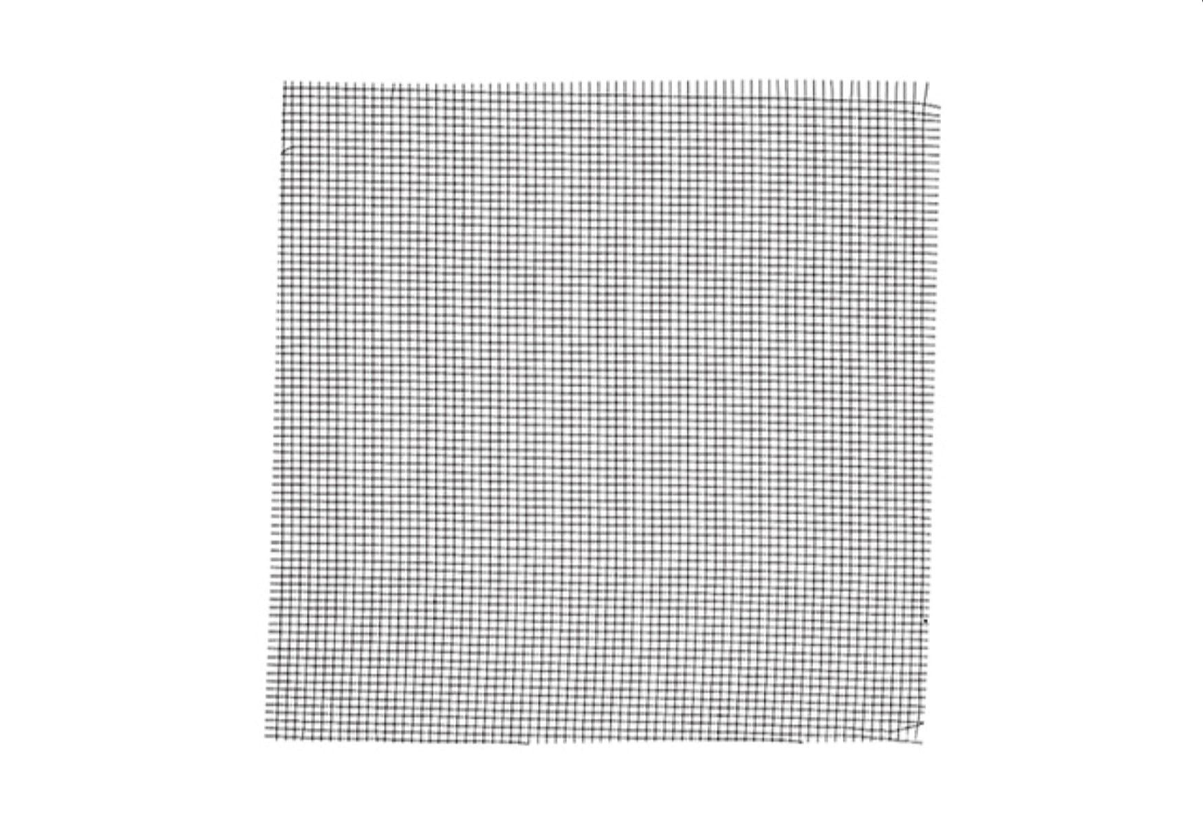 MAICO Lüftungsgitter Fliegengitter FG 100, für AP 100 oder SG 100