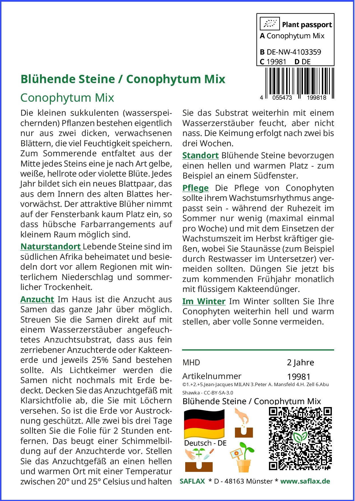 SAFLAX Blumensamen SAFLAX - Samen - günstig online kaufen