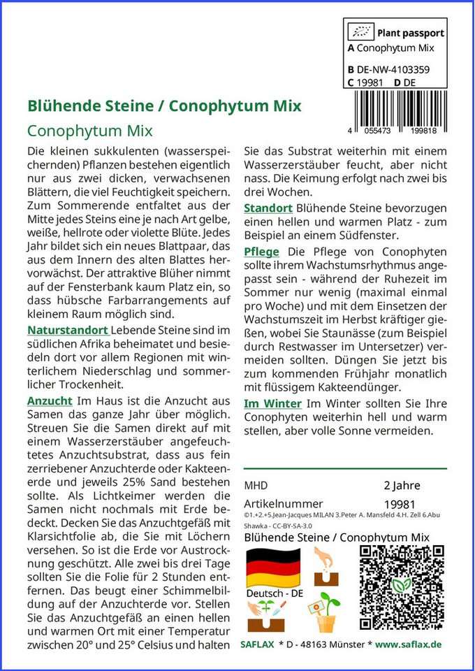 Thumbnail - SAFLAX Blumensamen SAFLAX - Samen - Blühende Steine / Conophytum Mix