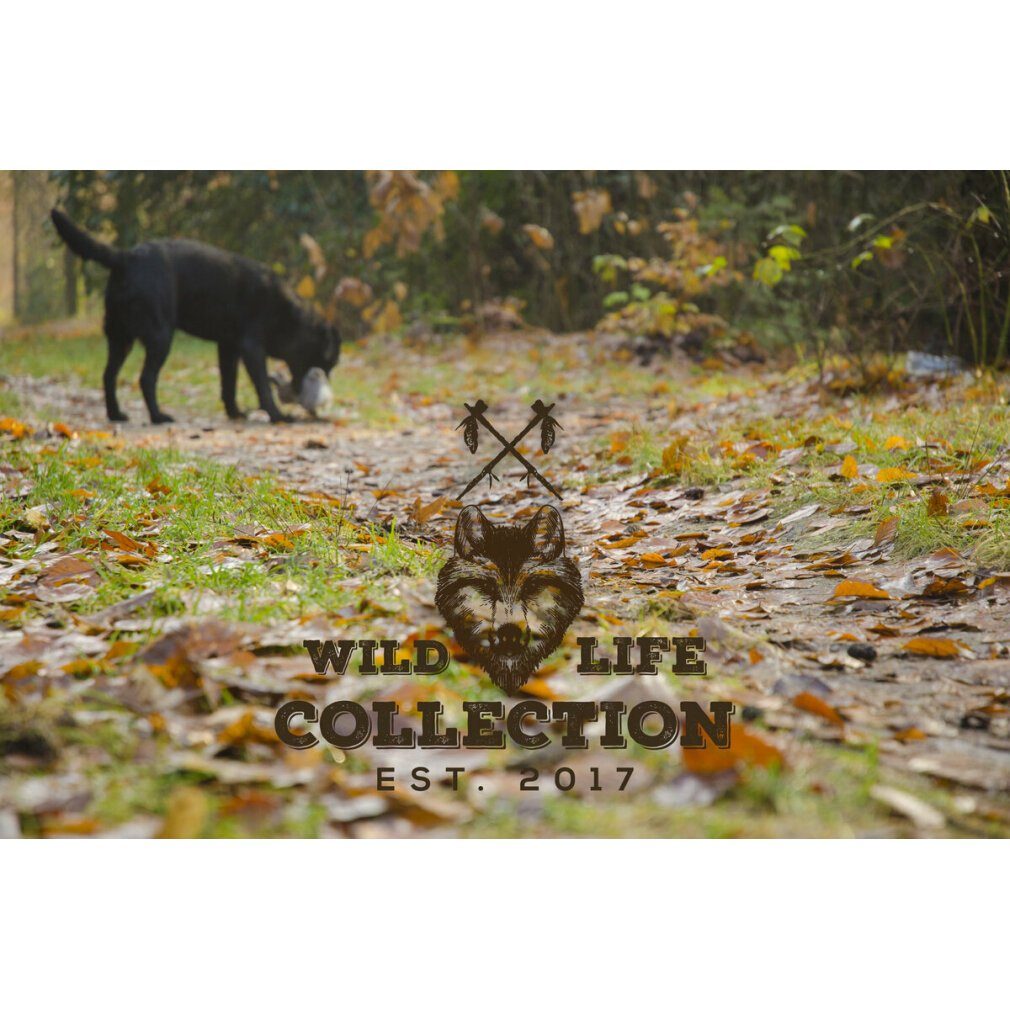 Rabbit Tierball wild (Kaninchen) life collection Life Dog Wild