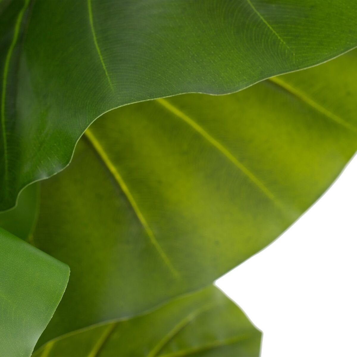 Bigbuy 155 x grün Dekorationspflanze x 60 75 cm Philodendron Dekoobjekt