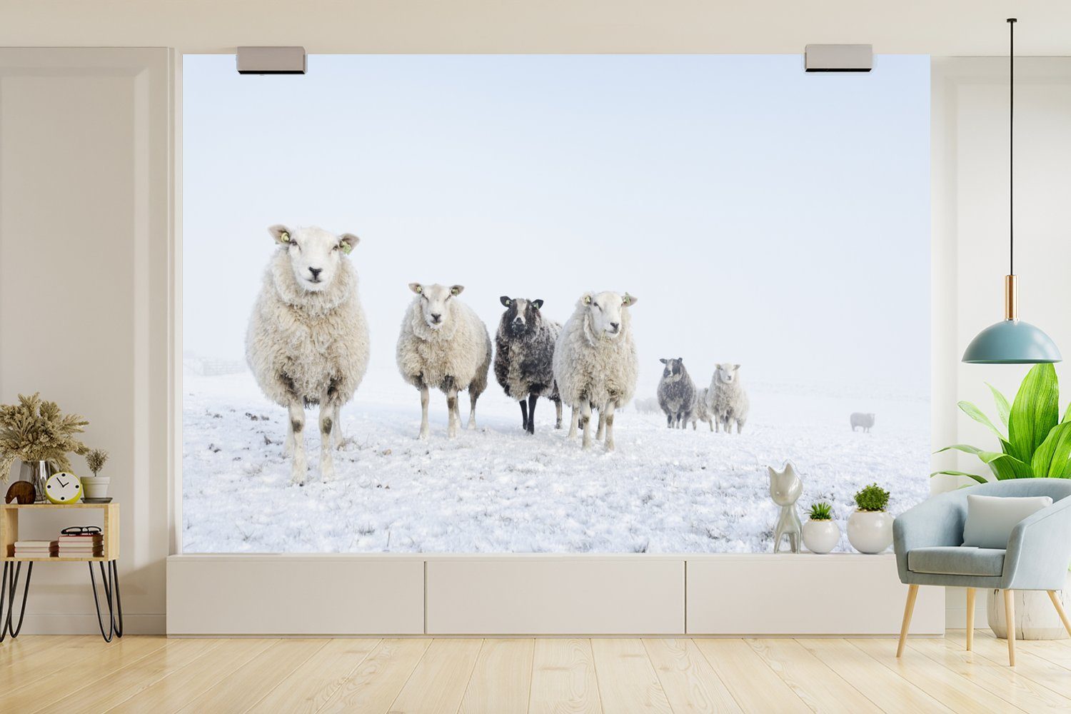 Schafe Kinderzimmer, (6 St), bedruckt, Schlafzimmer, Wolle für - Wohnzimmer, Matt, Fototapete Vinyl Tapete Wallpaper Schnee, MuchoWow -