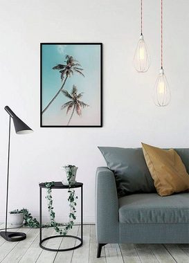 Komar Poster Miami Palms, Blätter, Pflanzen (1 St), Kinderzimmer, Schlafzimmer, Wohnzimmer