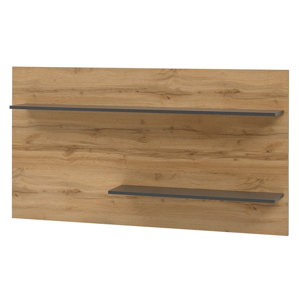 Lomadox Wandregal CRISP-61, Wotan Eiche Nb. mit Absetzungen in anthrazit 155/80/20 cm