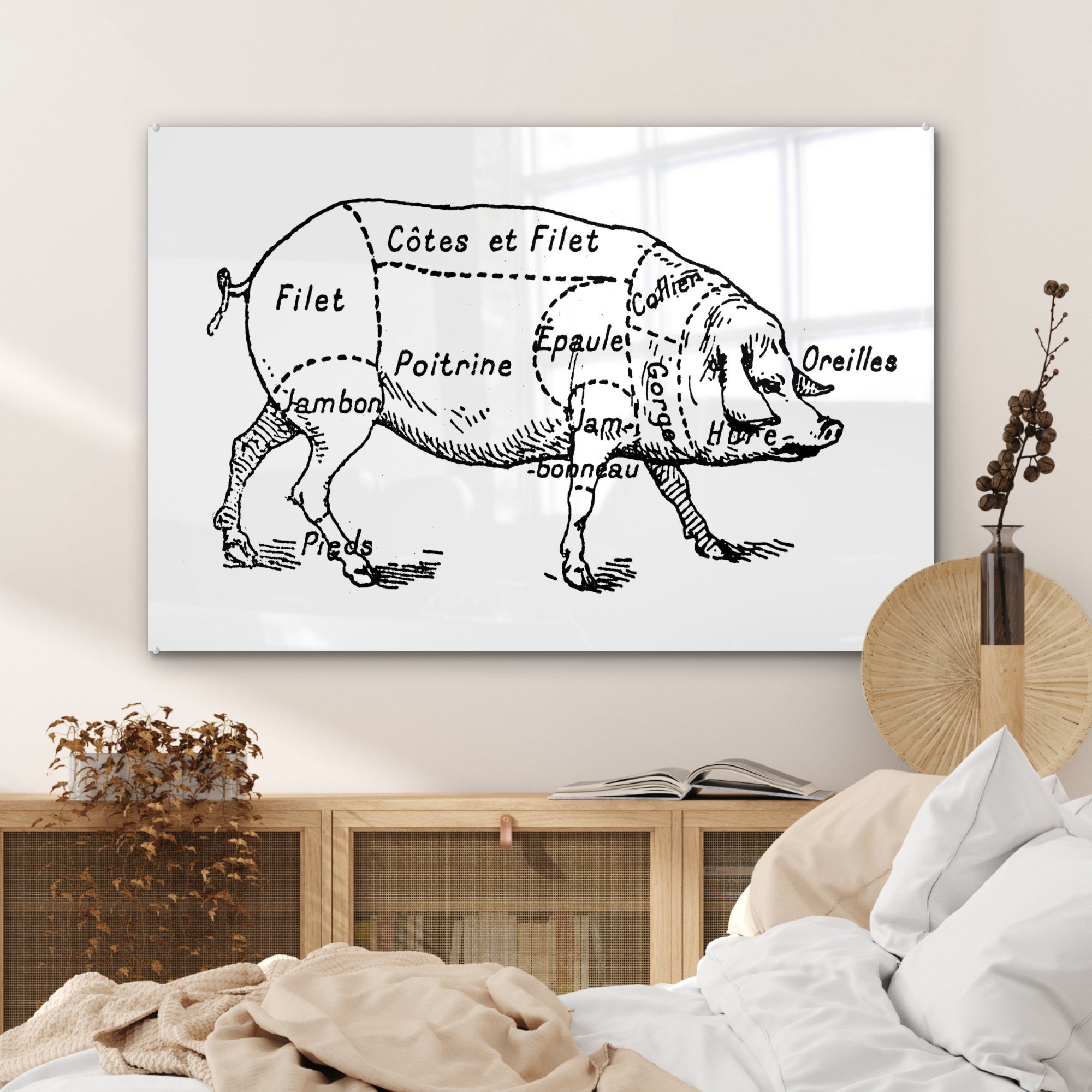 Illustration Schlafzimmer des Antike des Schwein, vom & Acrylglasbild (1 Acrylglasbilder St), Metzgers Diagramms MuchoWow Wohnzimmer