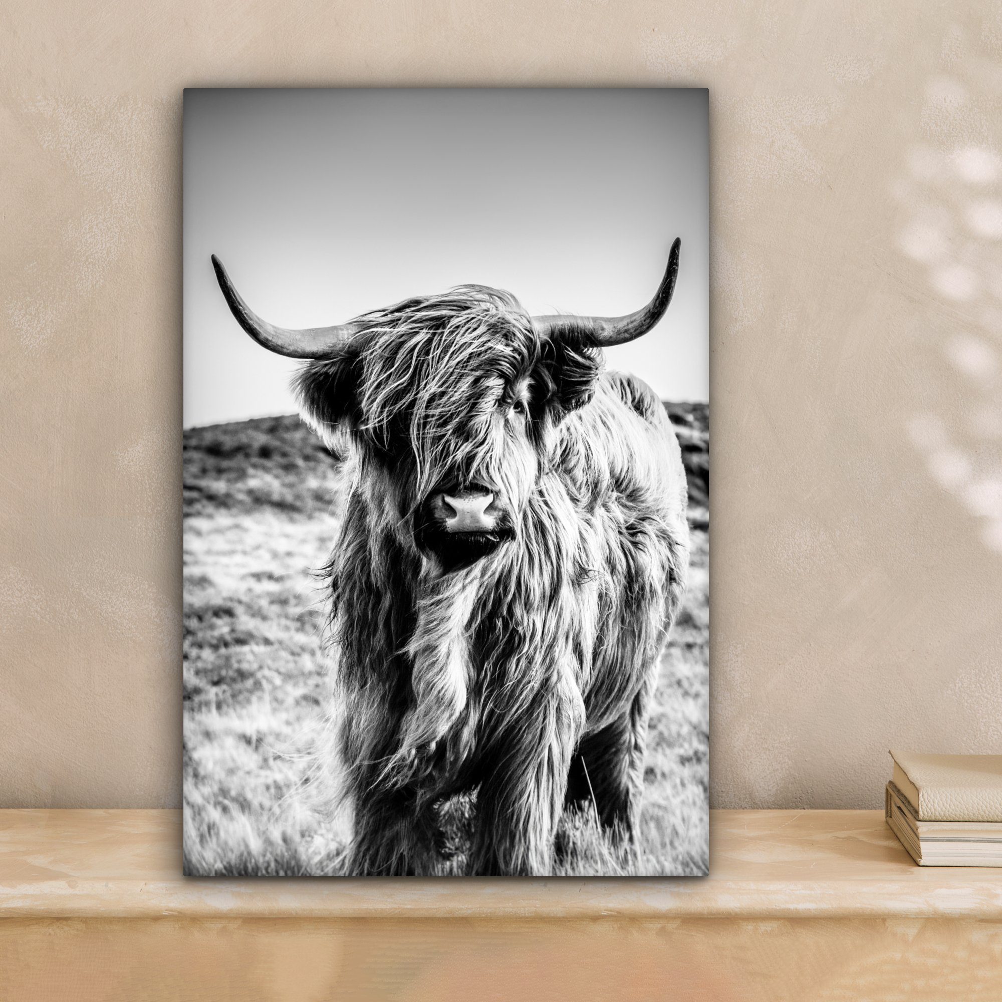 OneMillionCanvasses® Leinwandbild Schottischer Highlander - Natur - Kuh - S günstig online kaufen