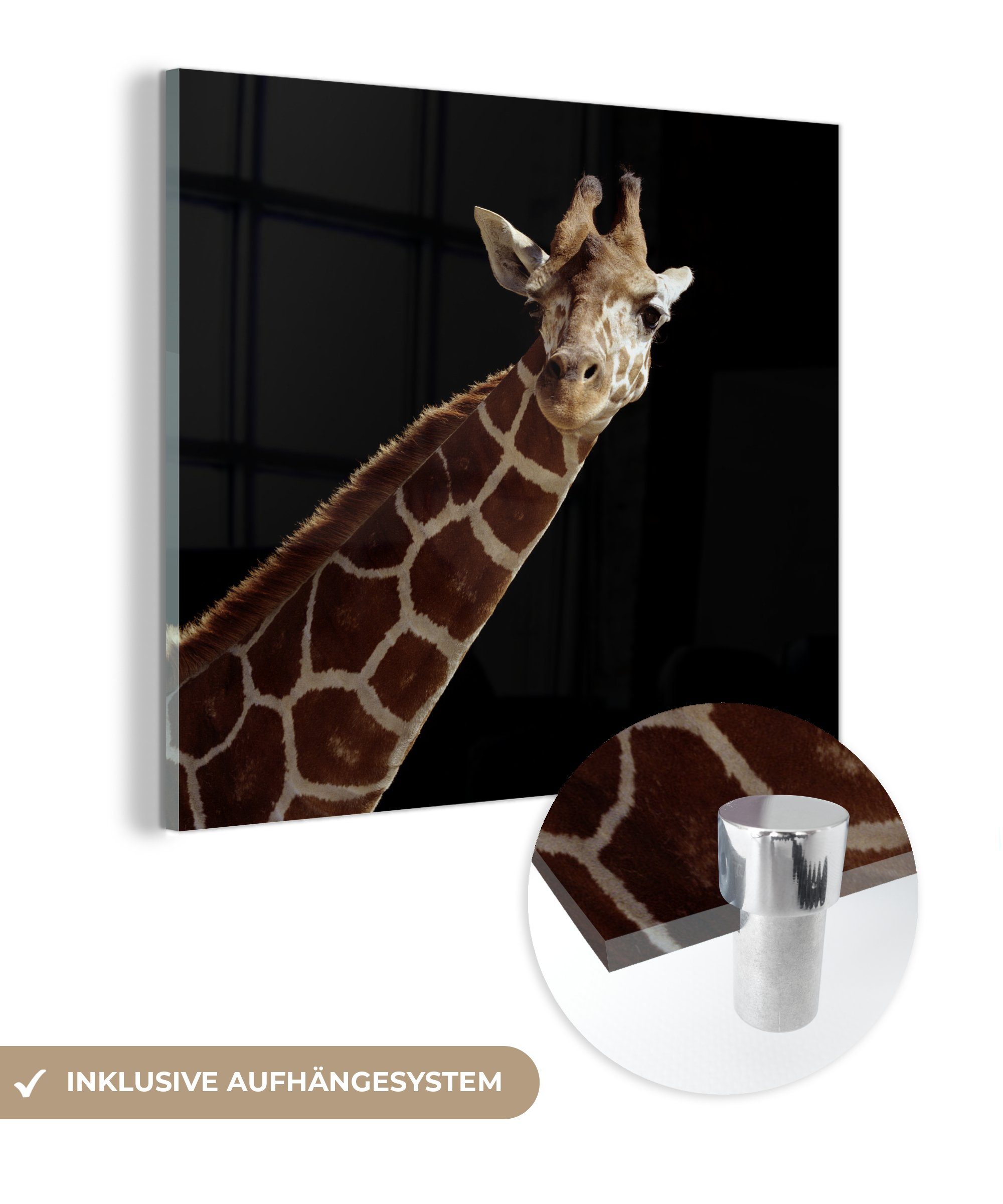 MuchoWow Acrylglasbild Giraffe Porträt für schwarzen Hintergrund, (1 St), Glasbilder - Bilder auf Glas Wandbild - Foto auf Glas - Wanddekoration