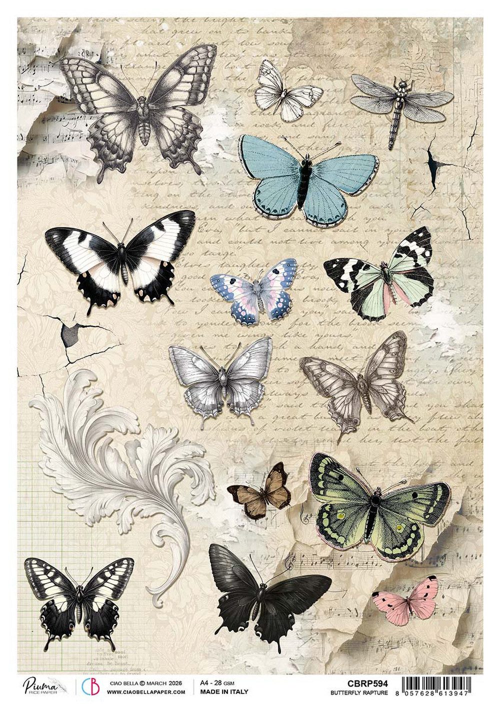 Ciao Bella Seidenpapier Motiv-Strohseide Typographic - Butterfly, DIN A4