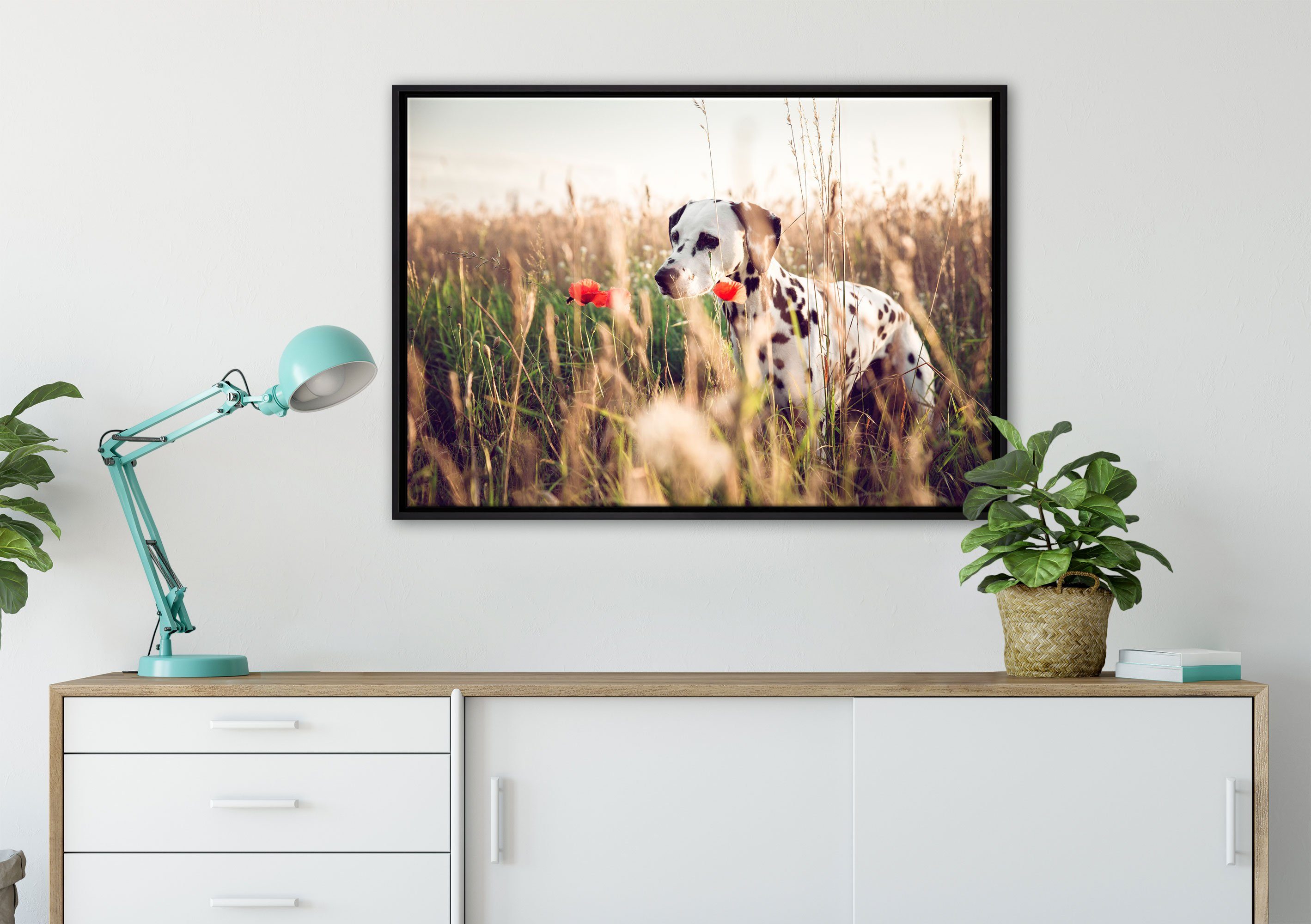 Pixxprint Leinwandbild Neugieriger Hund im gefasst, Wanddekoration (1 fertig in einem Zackenaufhänger Schattenfugen-Bilderrahmen inkl. Leinwandbild bespannt, Feld, St)