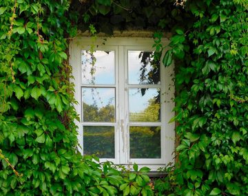 Sonnenschutz-Fensterfolie UV-Schutz Sonnenschutzfolie Fenster innen oder außen, Coonoor, Spiegelfolie Fenster Sichtschutz Selbstklebend Fensterfolie