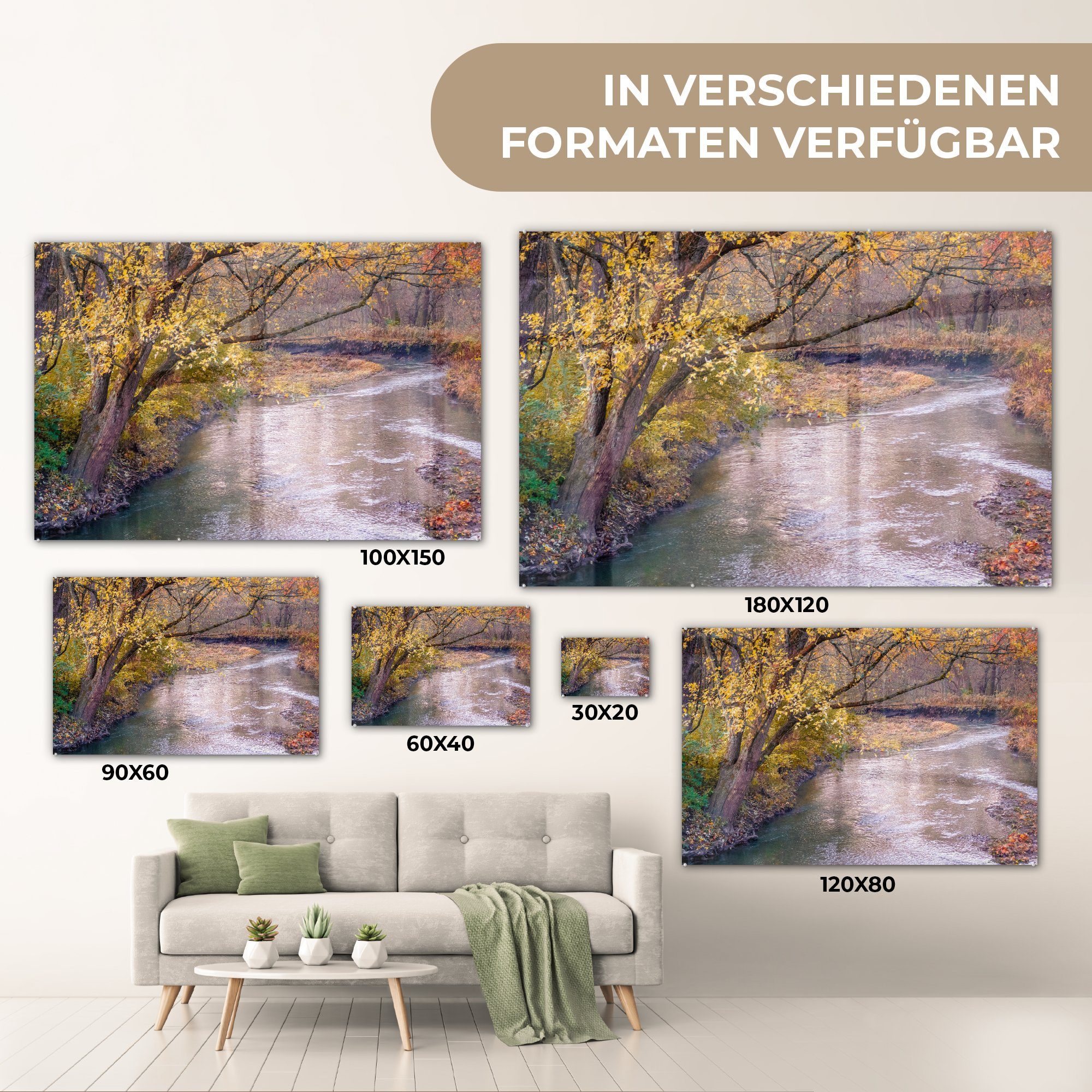 durch & Wohnzimmer Acrylglasbilder herbstlichen Illinois, MuchoWow Wald (1 Fluss Schlafzimmer St), in Acrylglasbild