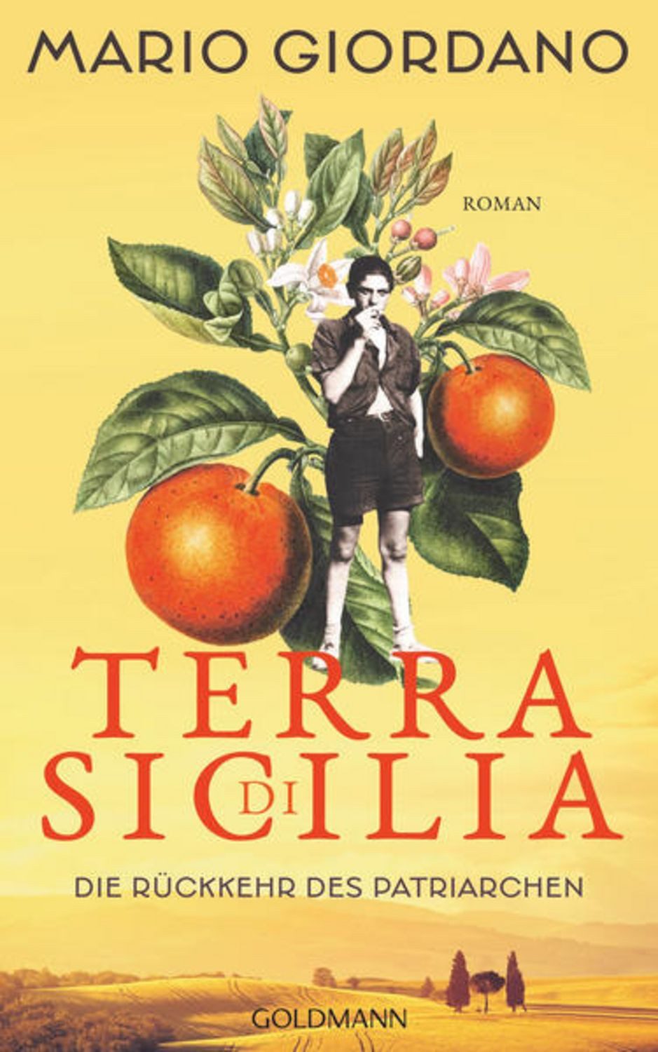 Terra di Sicilia. Die Rückkehr des Patriarchen / Mario Giordano