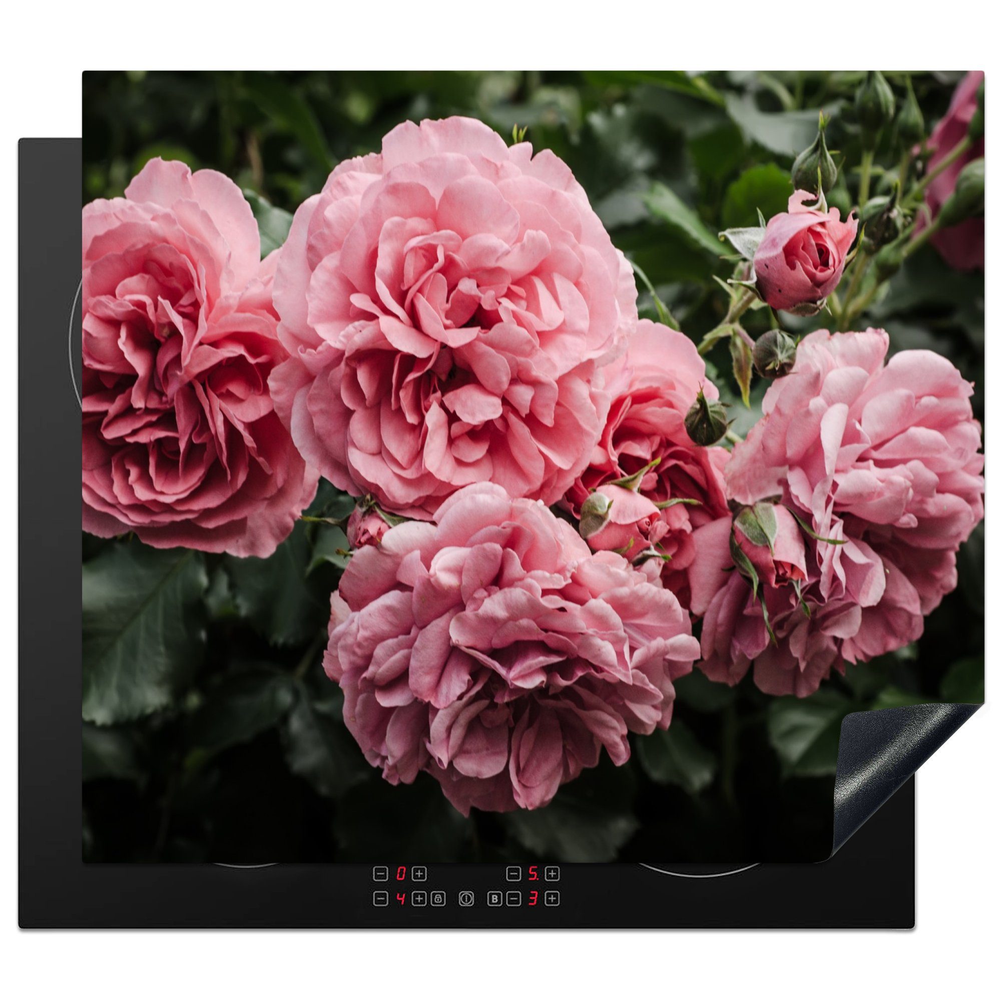 cm, Rosen, Herdblende-/Abdeckplatte Blumen MuchoWow - Vinyl, Induktionsschutz, Rosa (1 Ceranfeldabdeckung Induktionskochfeld, tlg), 57x51 -