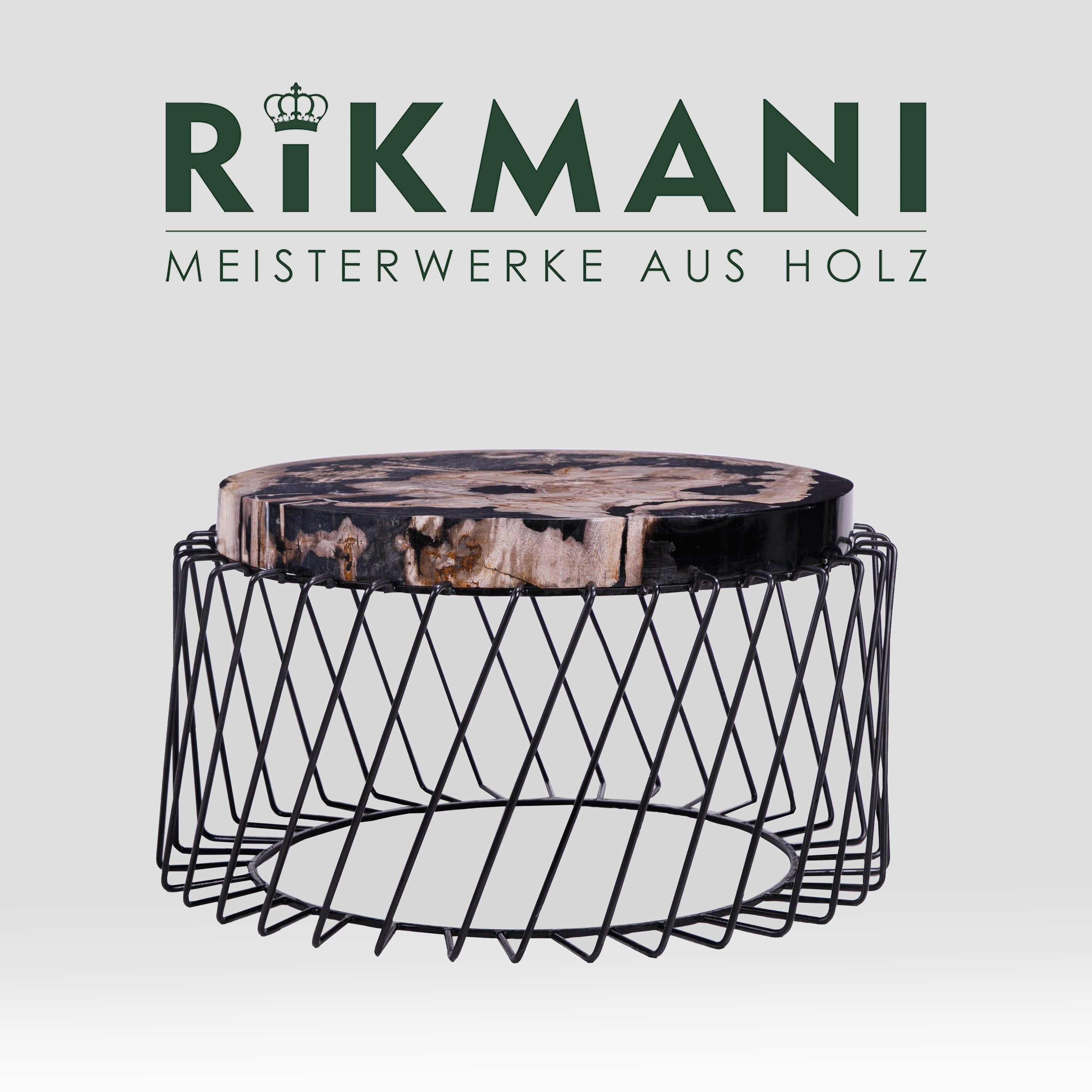 Rikmani Couchtisch Designer Beistelltisch aus Edelstahl Epoxidharz versteinertes Holz Wohnzimmertisch handgemacht LUNA