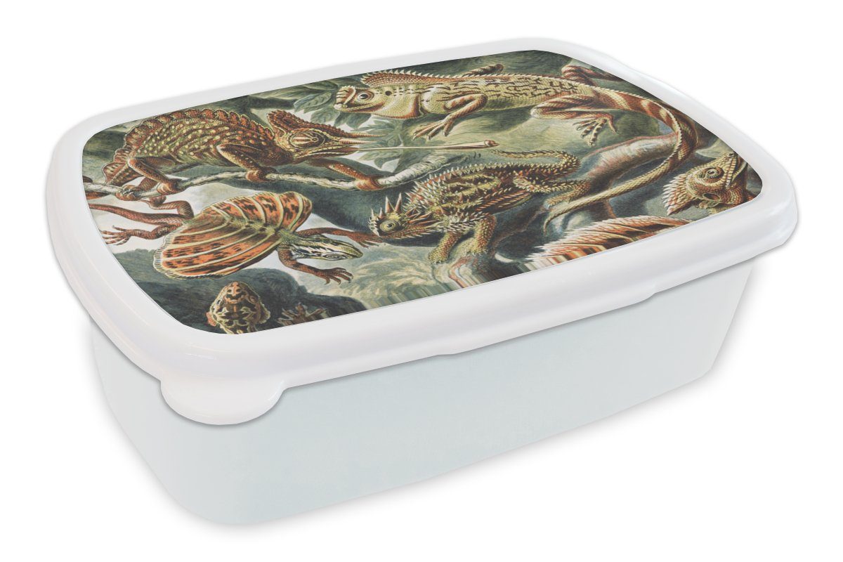 MuchoWow Lunchbox Jahrgang - Kunst - Ernst Haeckel - Salamander - Tiere, Kunststoff, (2-tlg), Brotbox für Kinder und Erwachsene, Brotdose, für Jungs und Mädchen weiß