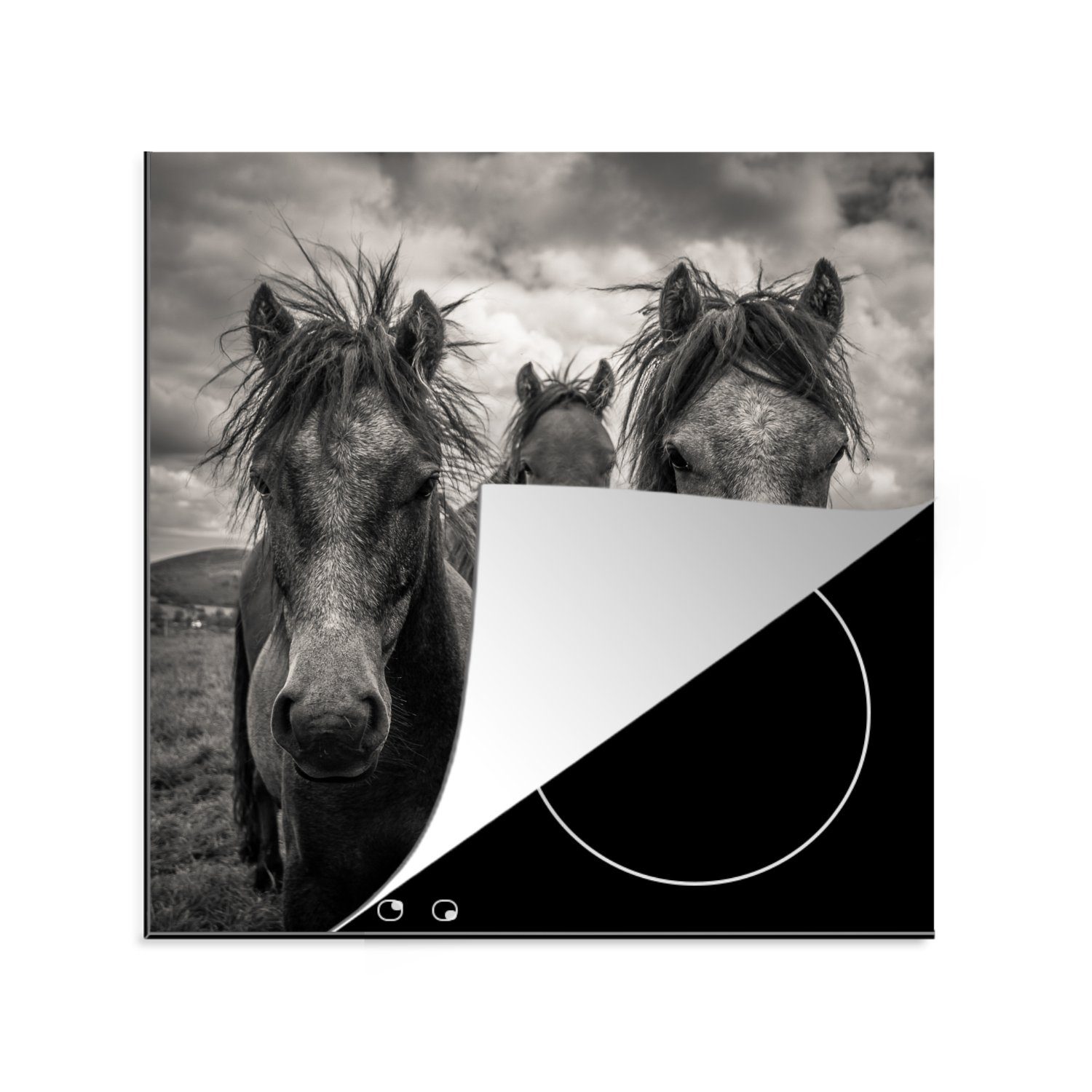 MuchoWow Herdblende-/Abdeckplatte Dartmoor - Pferde - Schwarz - Weiß, Vinyl, (1 tlg), 78x78 cm, Ceranfeldabdeckung, Arbeitsplatte für küche
